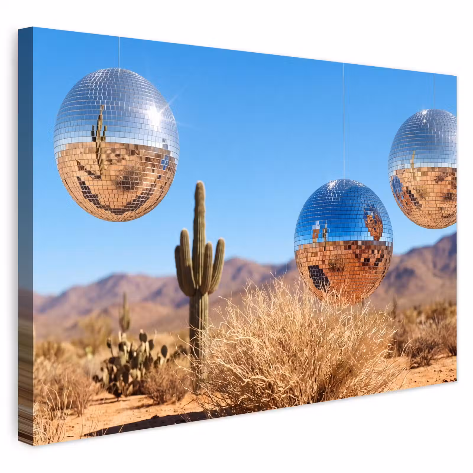 Buiten canvas - Woestijn - Spiegelbal - Kunst - Woestijn - Spiegelbal - Kunst Tuinposter op houten frame 2 cm dik klein