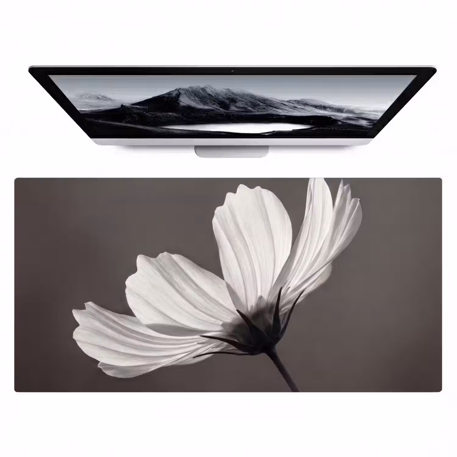 Bloem - Minimalistisch - Zwart - Wit Muismat XXL klein -zzz3d