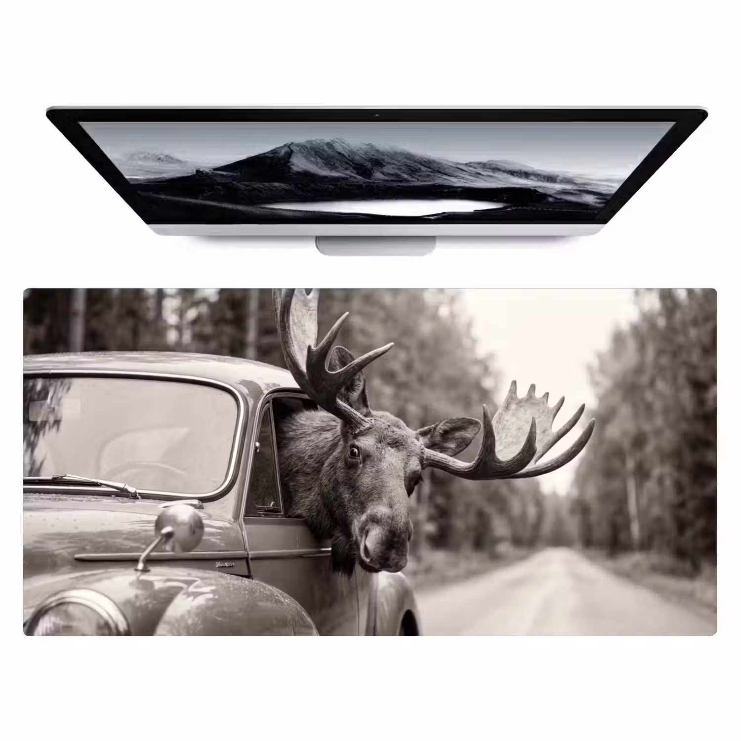 Eland - Auto - Gewei - Zwart - Wit Muismat XXL klein -zzz3d
