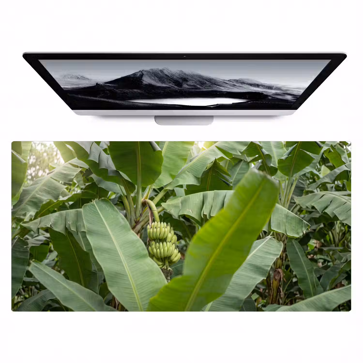 Eten - Bananen - Plantage - Groen Muismat XXL klein -zzz3d