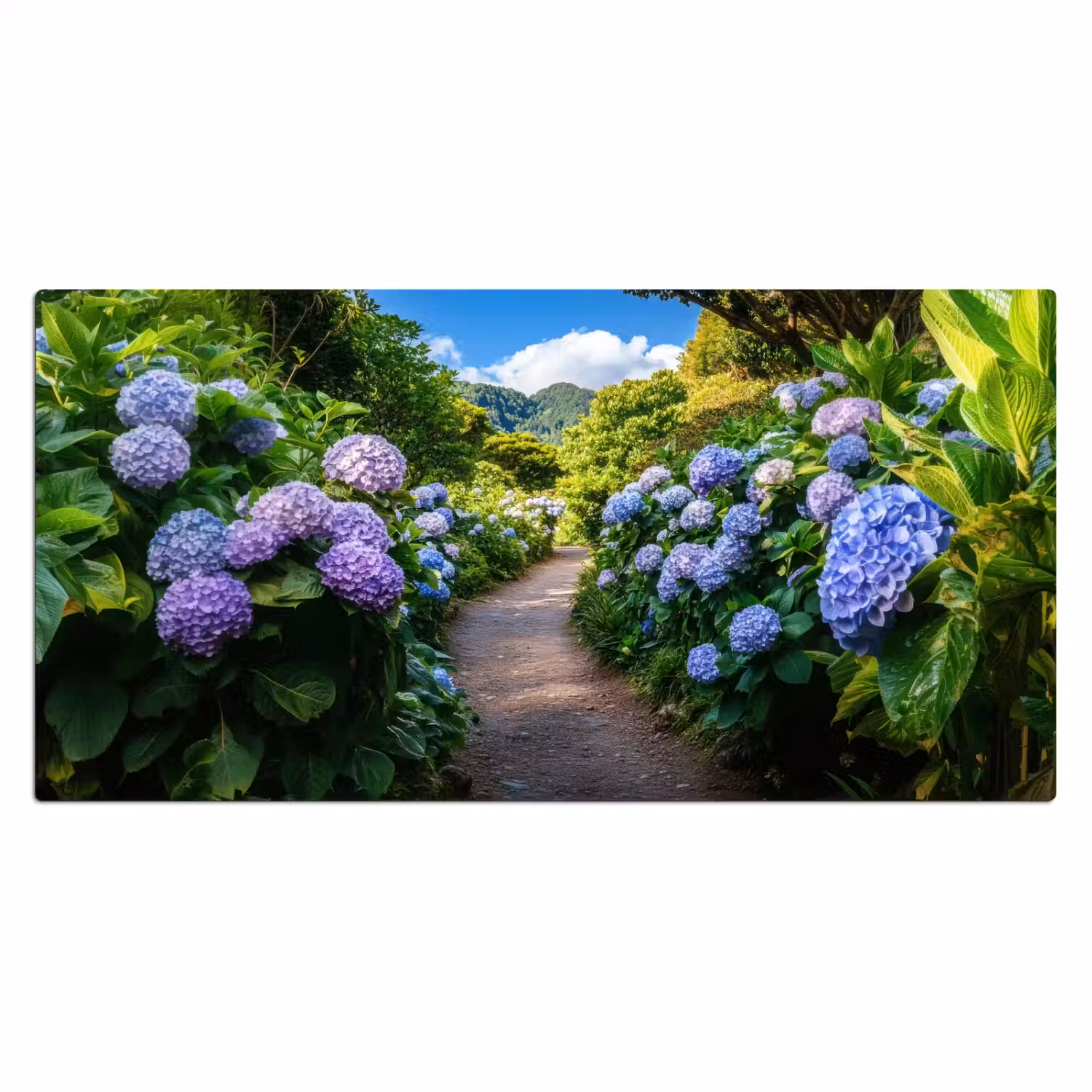 Hortsensia - Pad - Bloemen Muismat XXL klein -3d_leeg