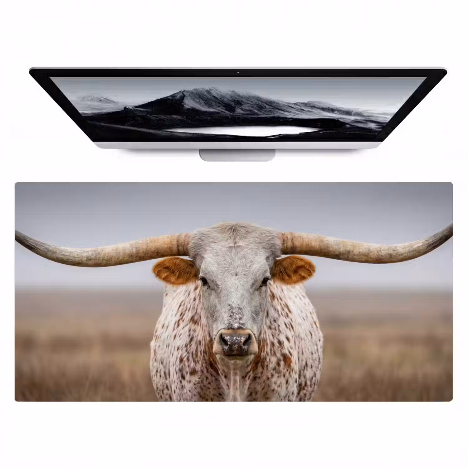 Longhorn - Grasveld - Dier Muismat XXL klein -zzz3d