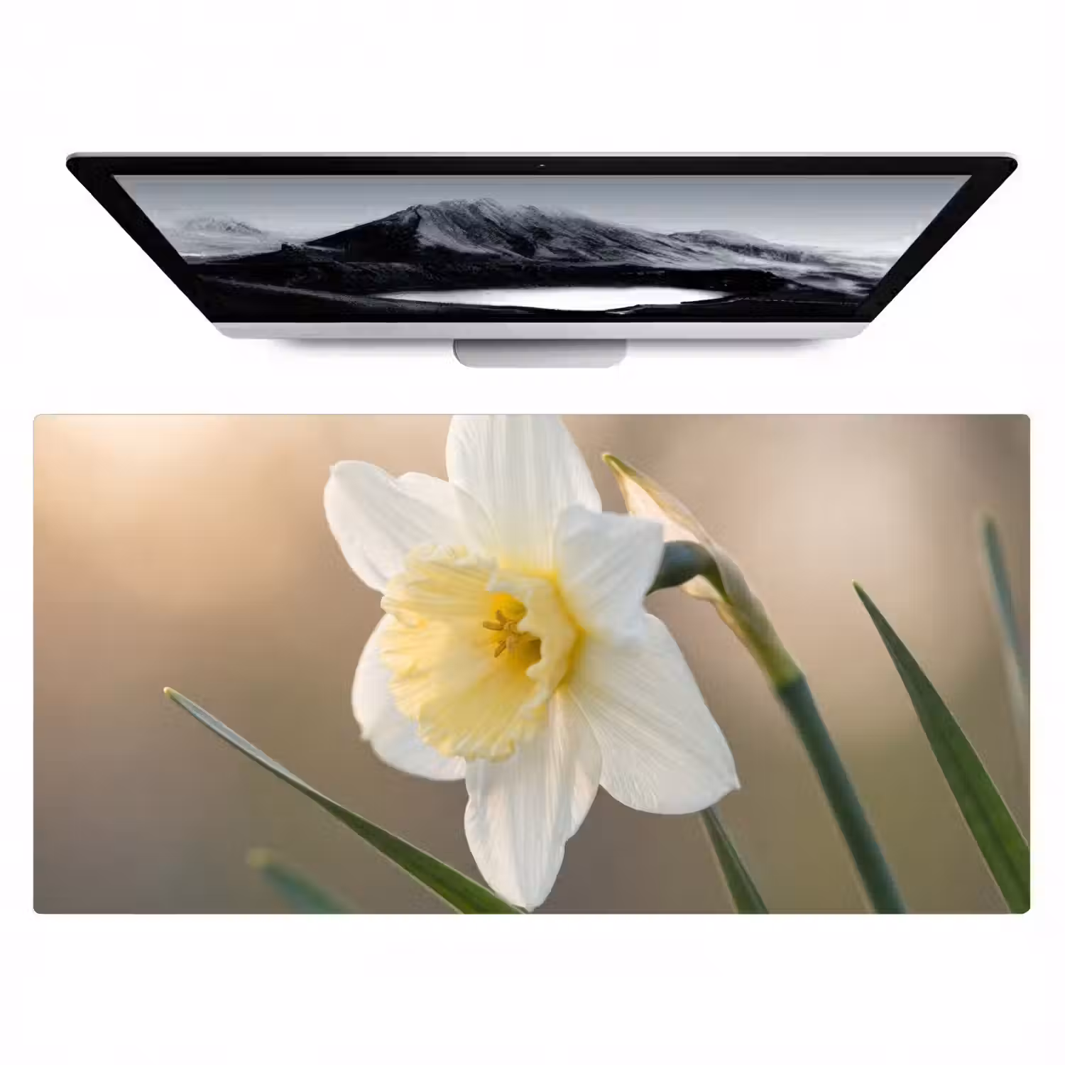 Narcis - Bloem - Minimalistisch Muismat XXL klein -zzz3d