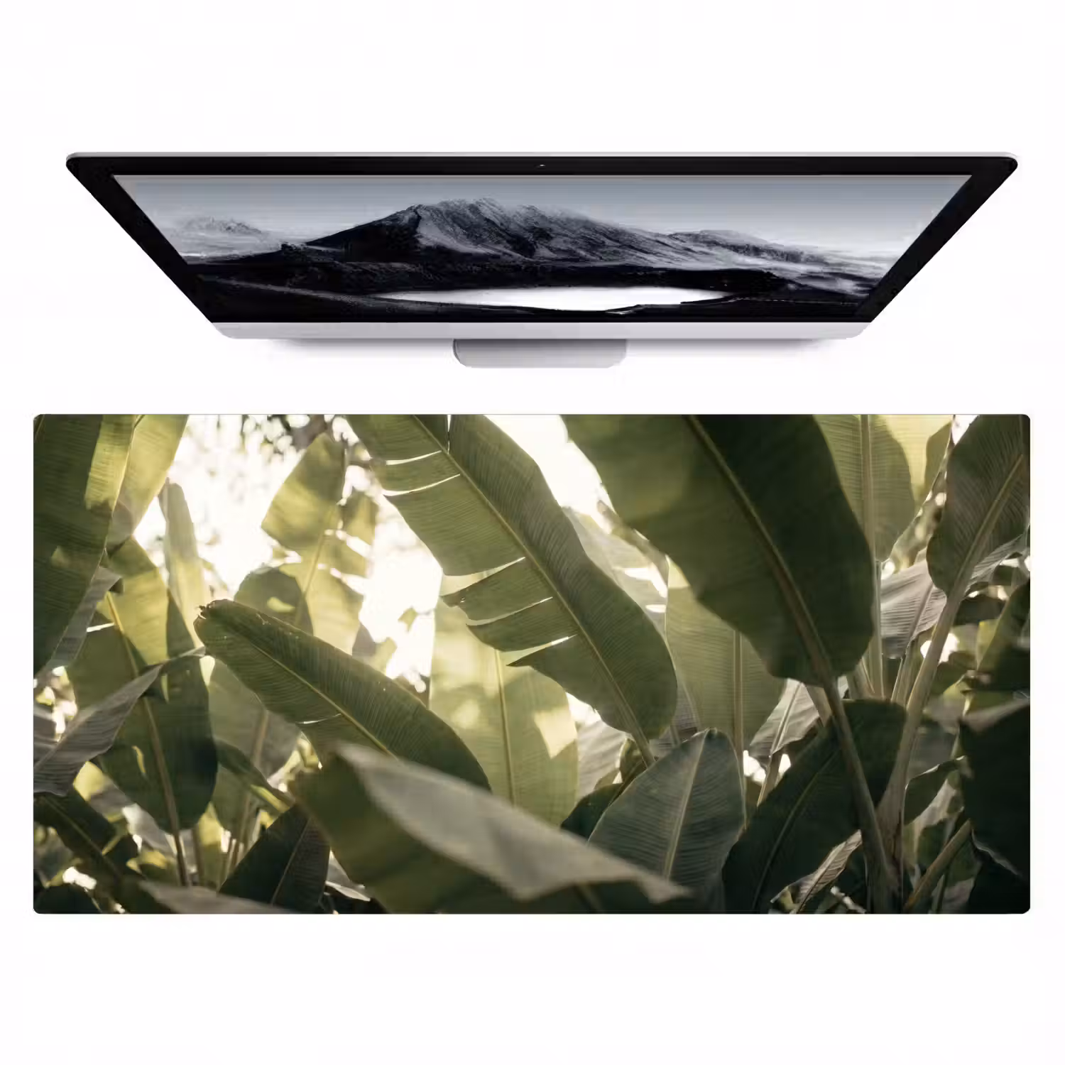 Natuur - Bladeren - Groen - Tropisch - Detail Muismat XXL klein -zzz3d