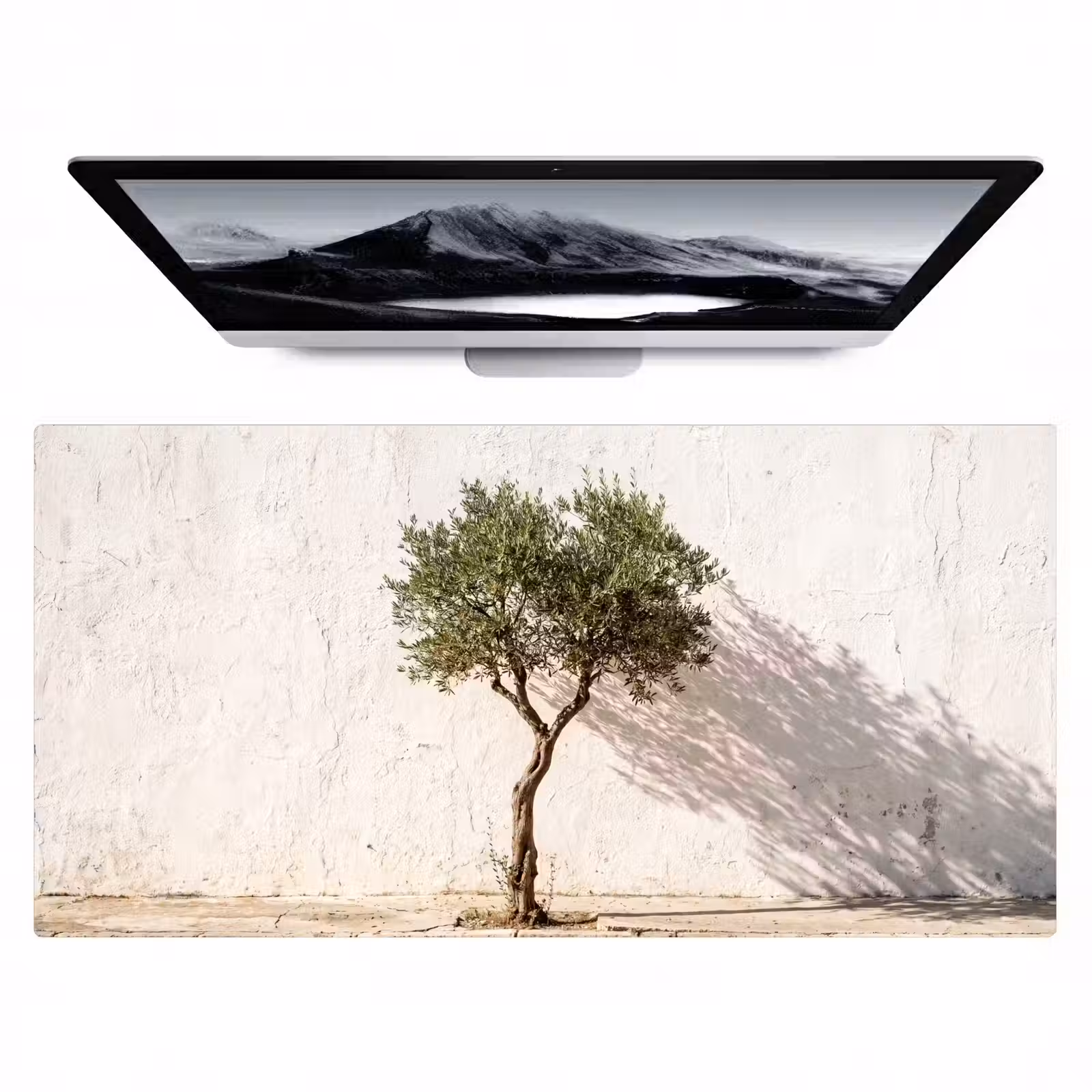 Bureau onderlegger - Olijfboom - muur - wit - Olijfboom - muur - wit Muismat XXL klein