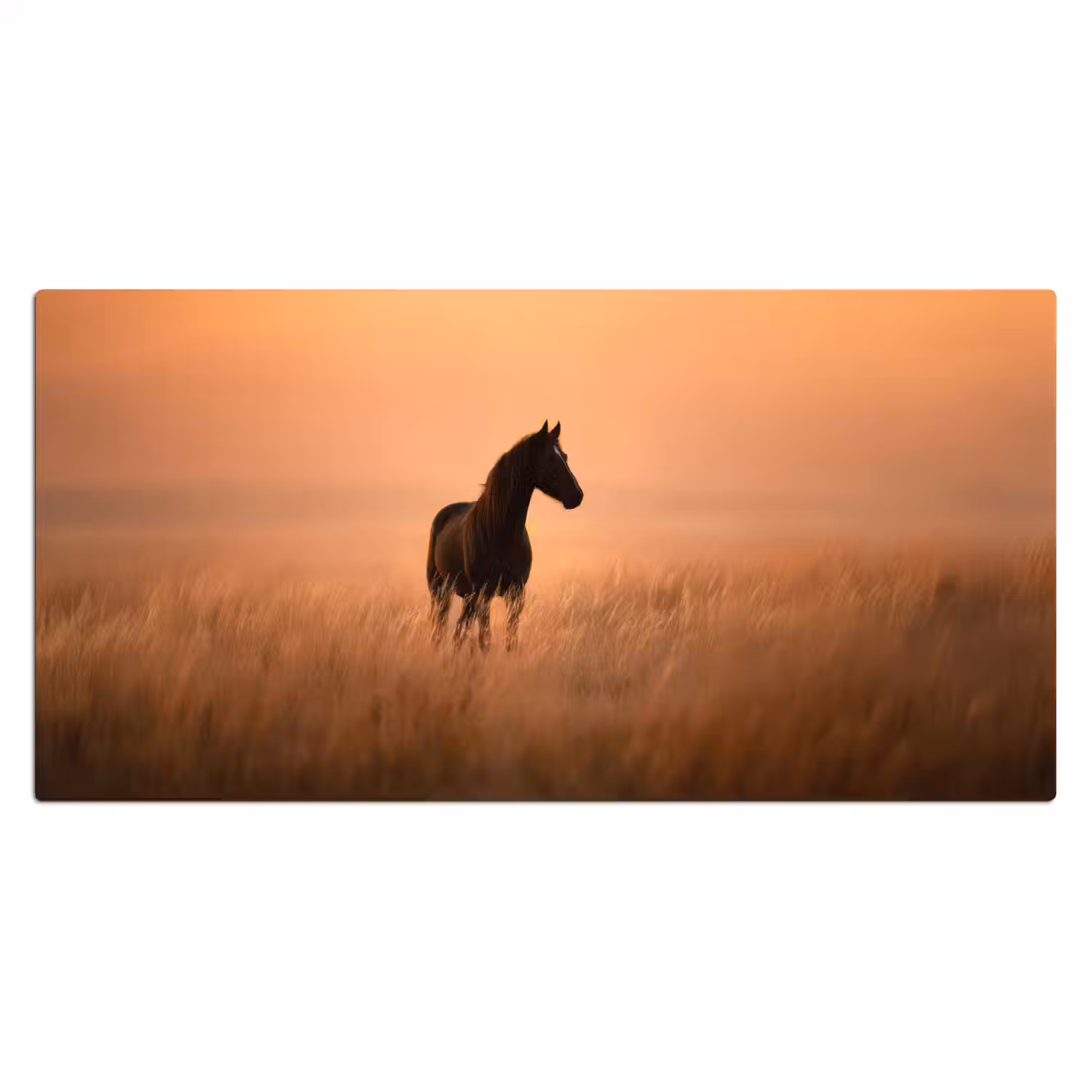 Paard - Grasveld - Zonsondergang Muismat XXL klein -3d_leeg