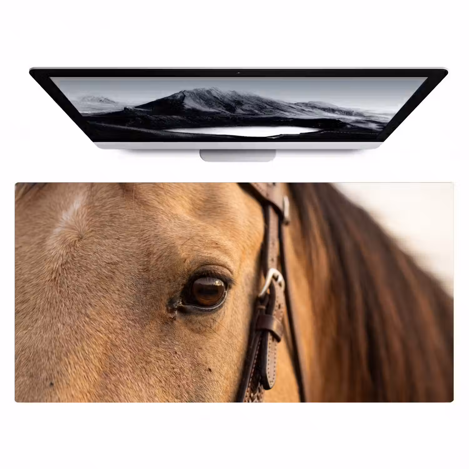 Paard - Oog - Bruin Muismat XXL klein -zzz3d