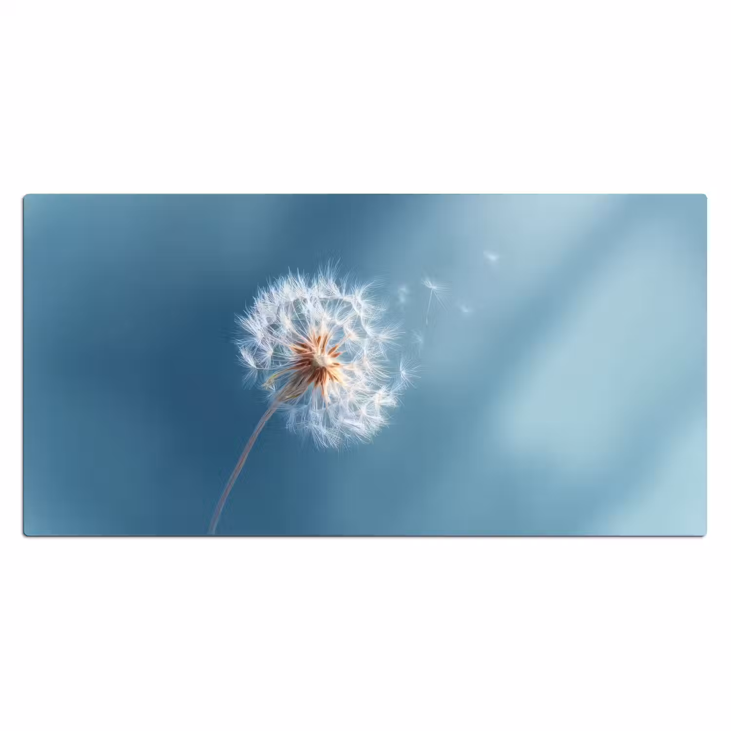 Paardenbloem - Wind - Blauw Muismat XXL klein -3d_leeg