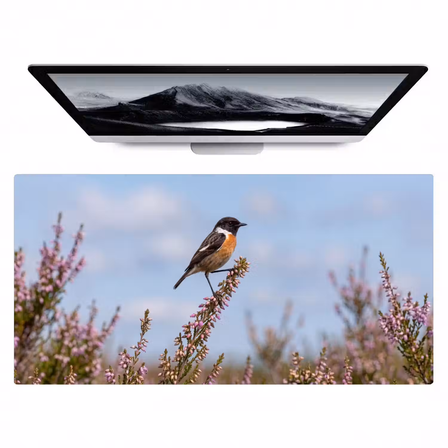 Roodborsttapuit - Heide - Paars - Natuur - Sfeervol Muismat XXL klein -zzz3d