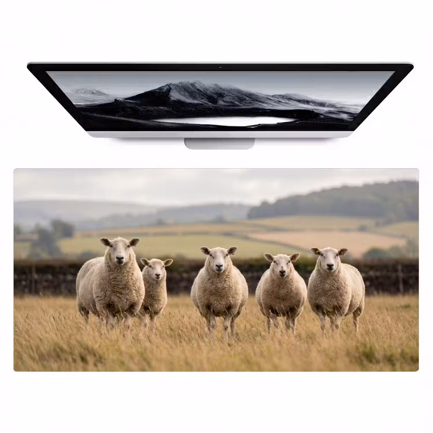 Schapen - Weidenlandschap - Heuvels Muismat XXL klein -zzz3d
