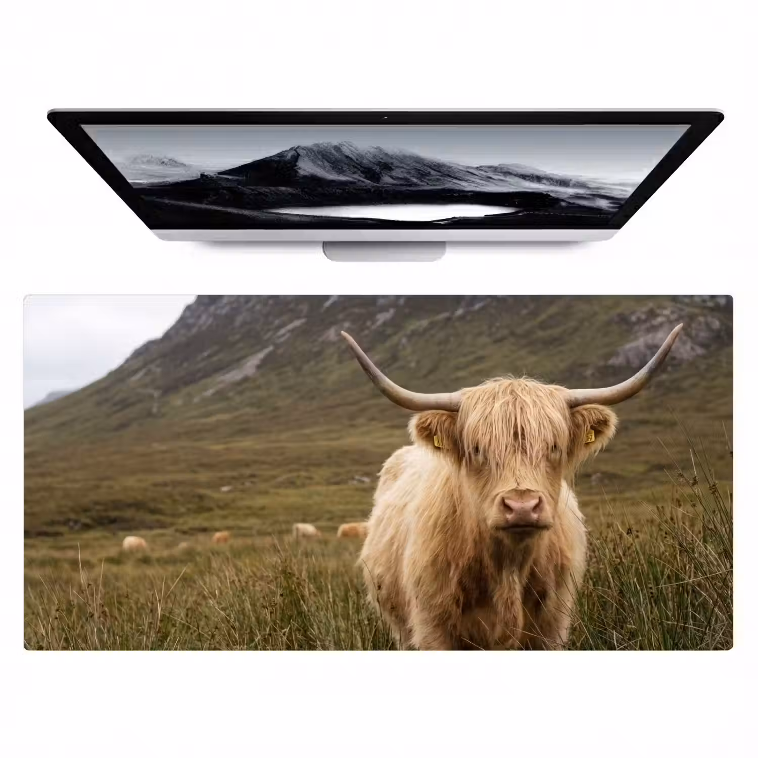 Schotse hooglander - Bergen - Grasveld Muismat XXL klein -zzz3d