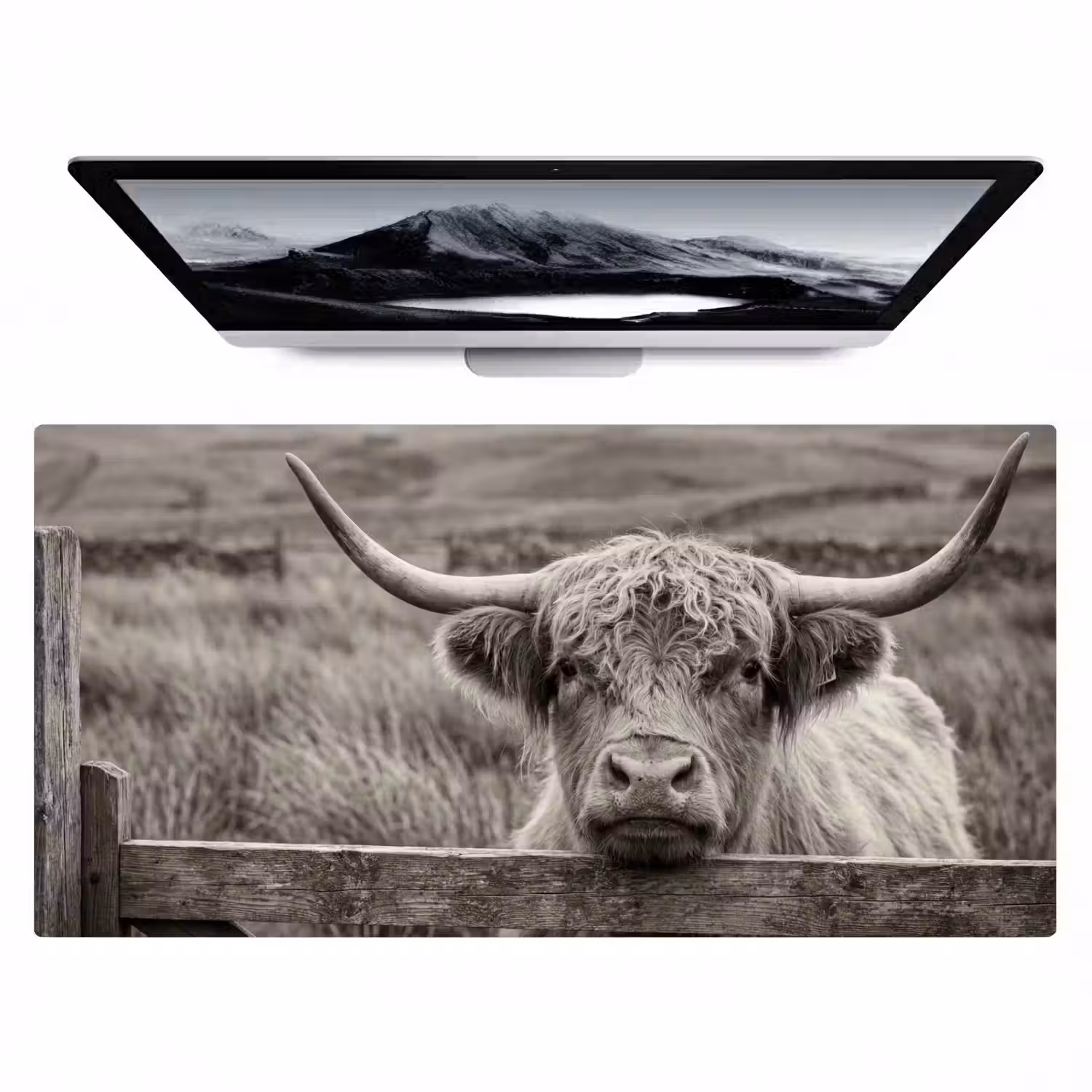Schotse hooglander - Zwart - Wit - Hout Muismat XXL klein -zzz3d