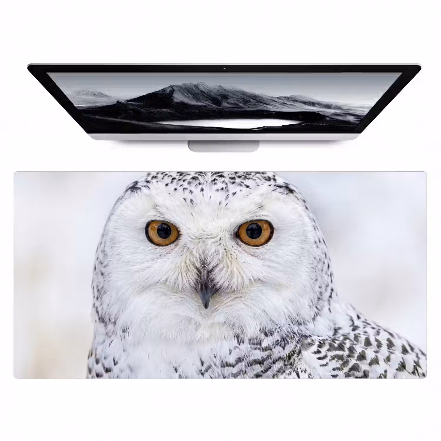 Sneeuwuil - Oog - Wildlife - Wit Muismat XXL klein -zzz3d