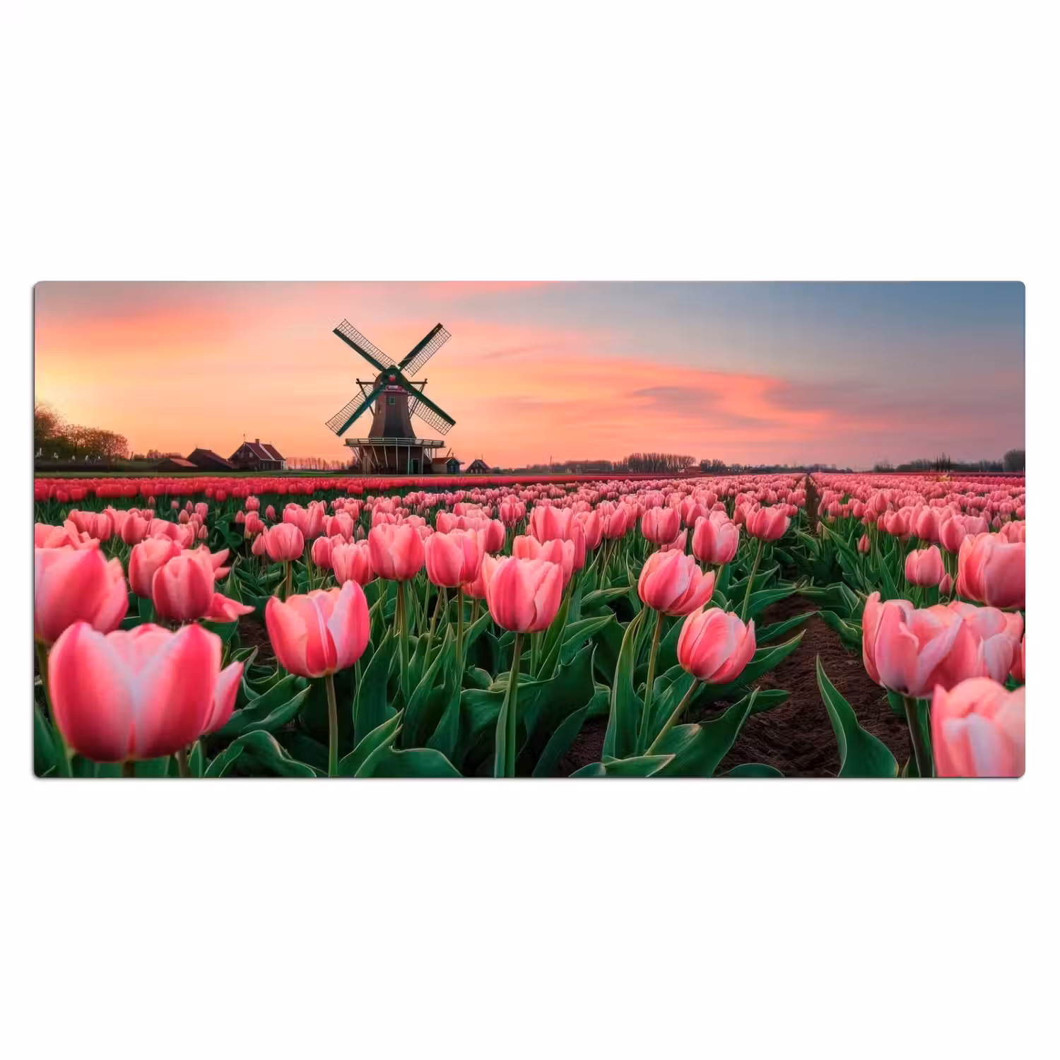 Tulpen - Molen - Nederland Muismat XXL klein -3d_leeg