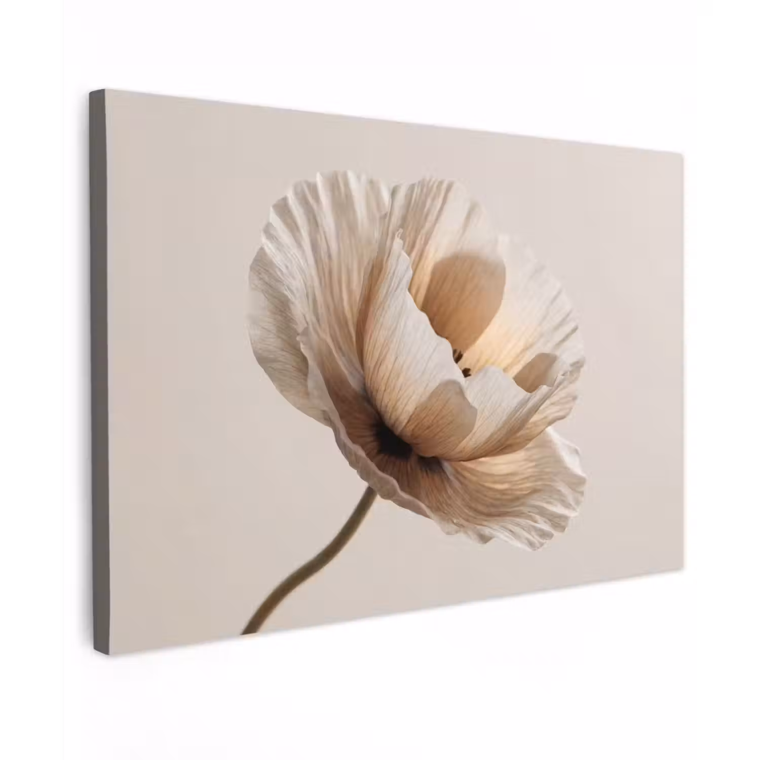 Bloem - Beige - Crème canvas 2cm klein -z3d
