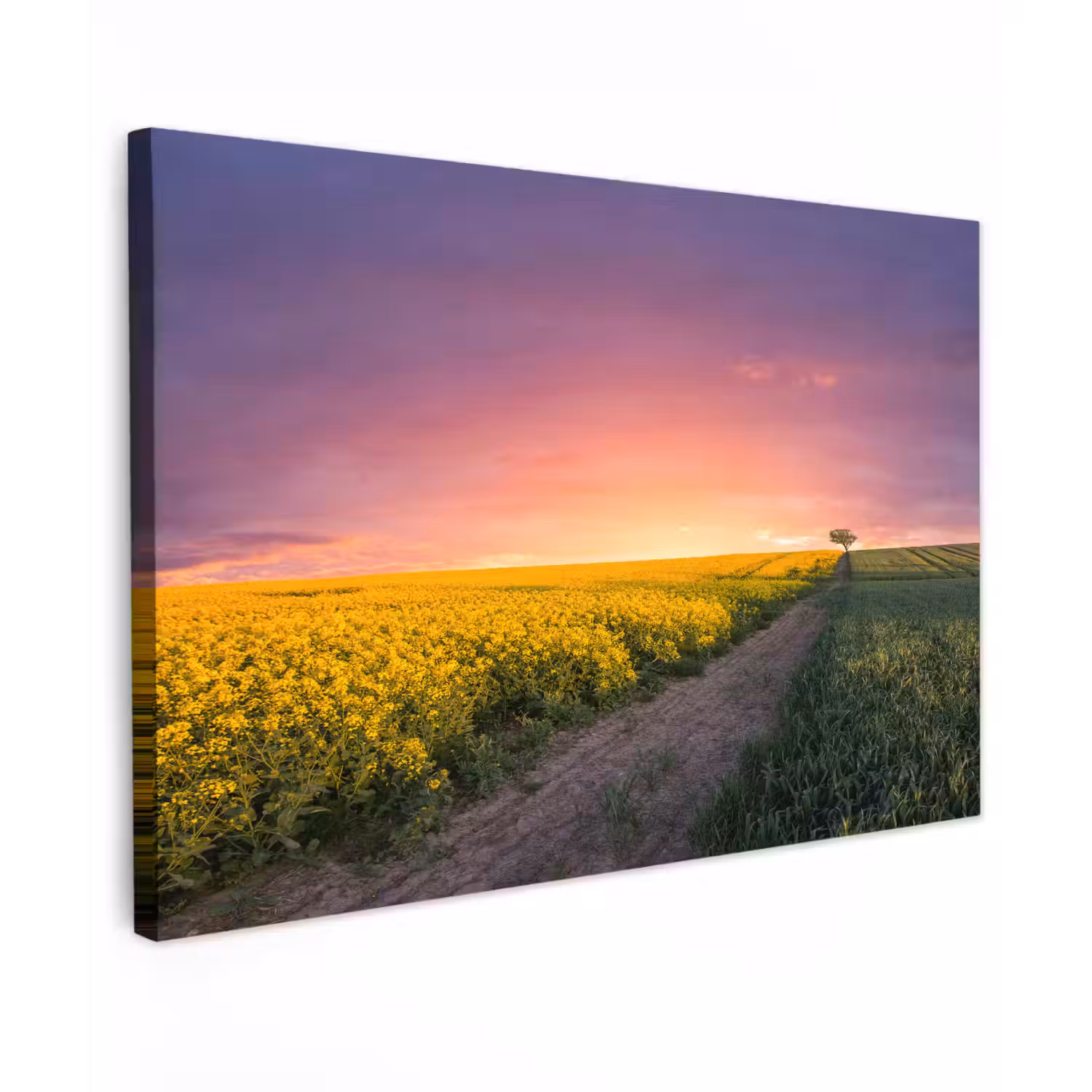 Bloemen - Weg - Lucht - Geel - Paars - Zonsondergang - Natuur canvas 2cm klein -z3d