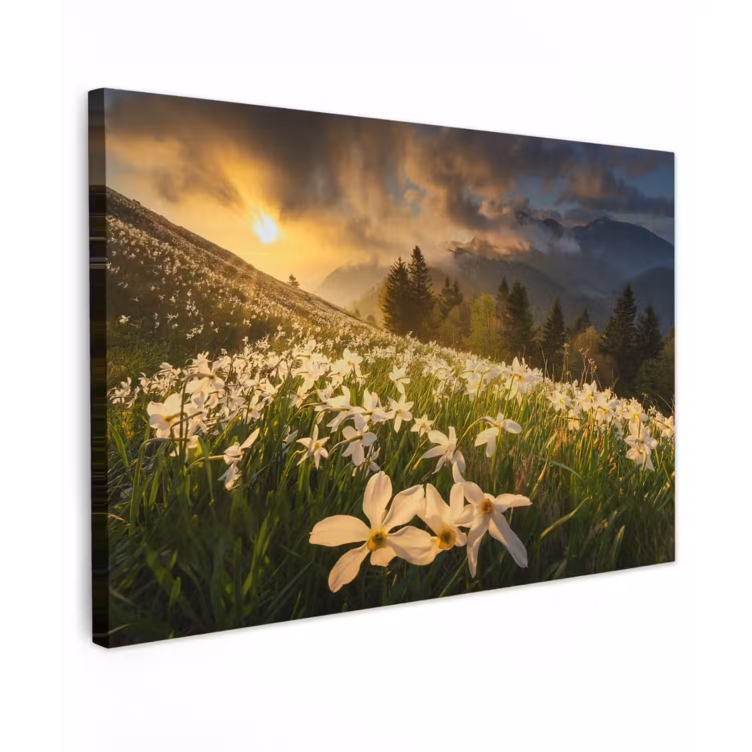 Bloemenveld - Heuvels - Zonsondergang - Berg - Natuur - Wit - Heuvels canvas 2cm klein -z3d