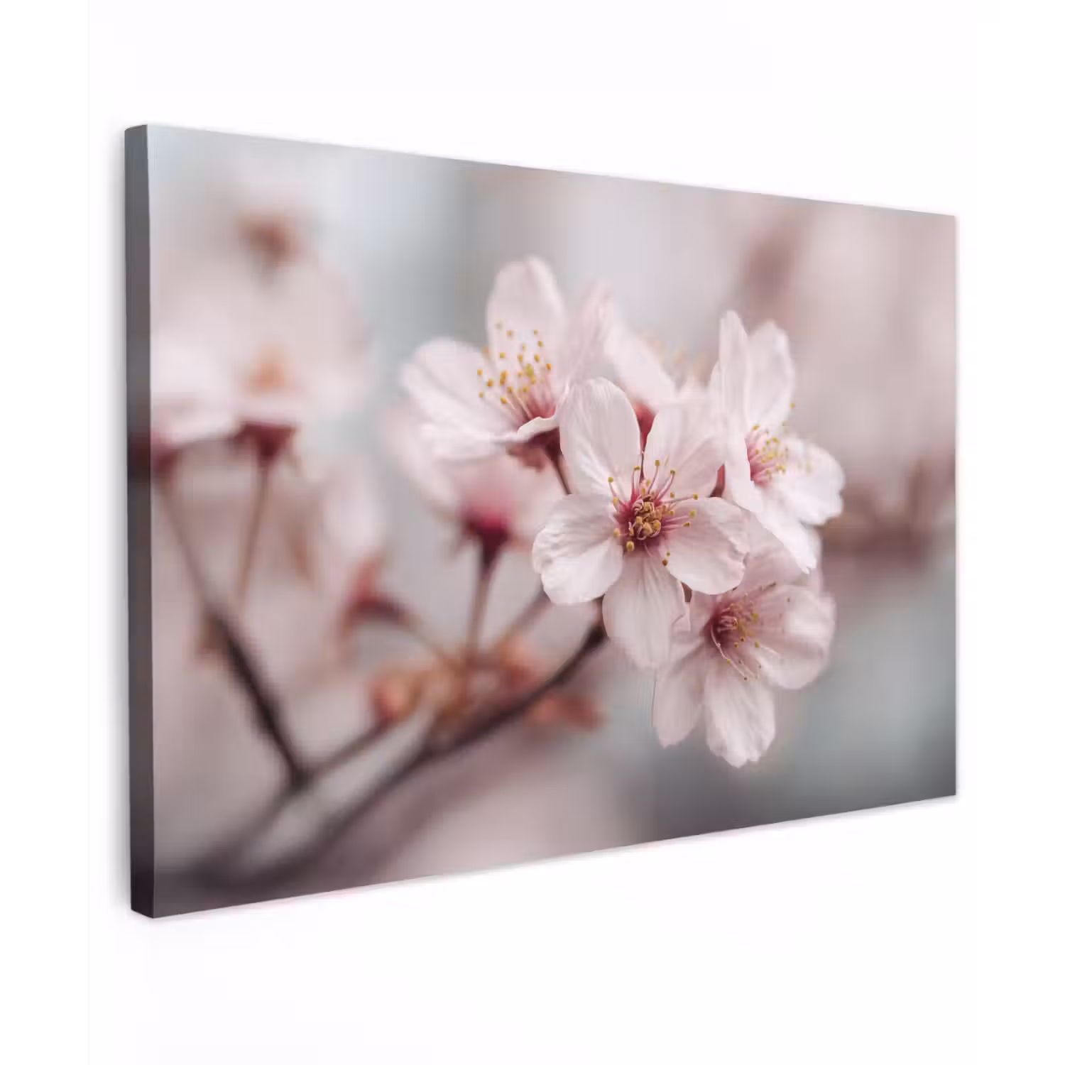 Bloesems - Meeldraden - Geel - Wazig canvas 2cm klein -z3d