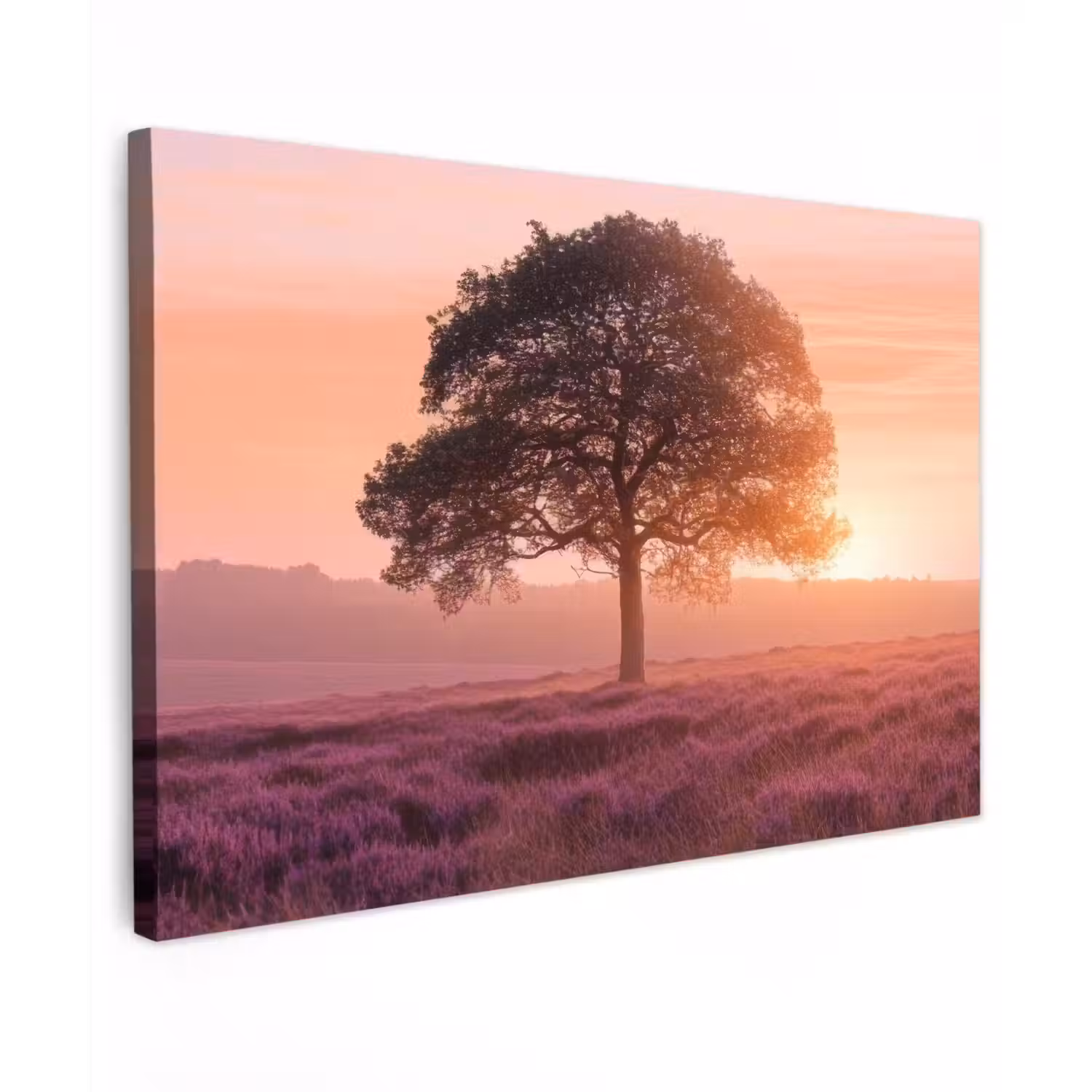 Boom - Heide - Zonsopgang canvas 2cm klein -z3d