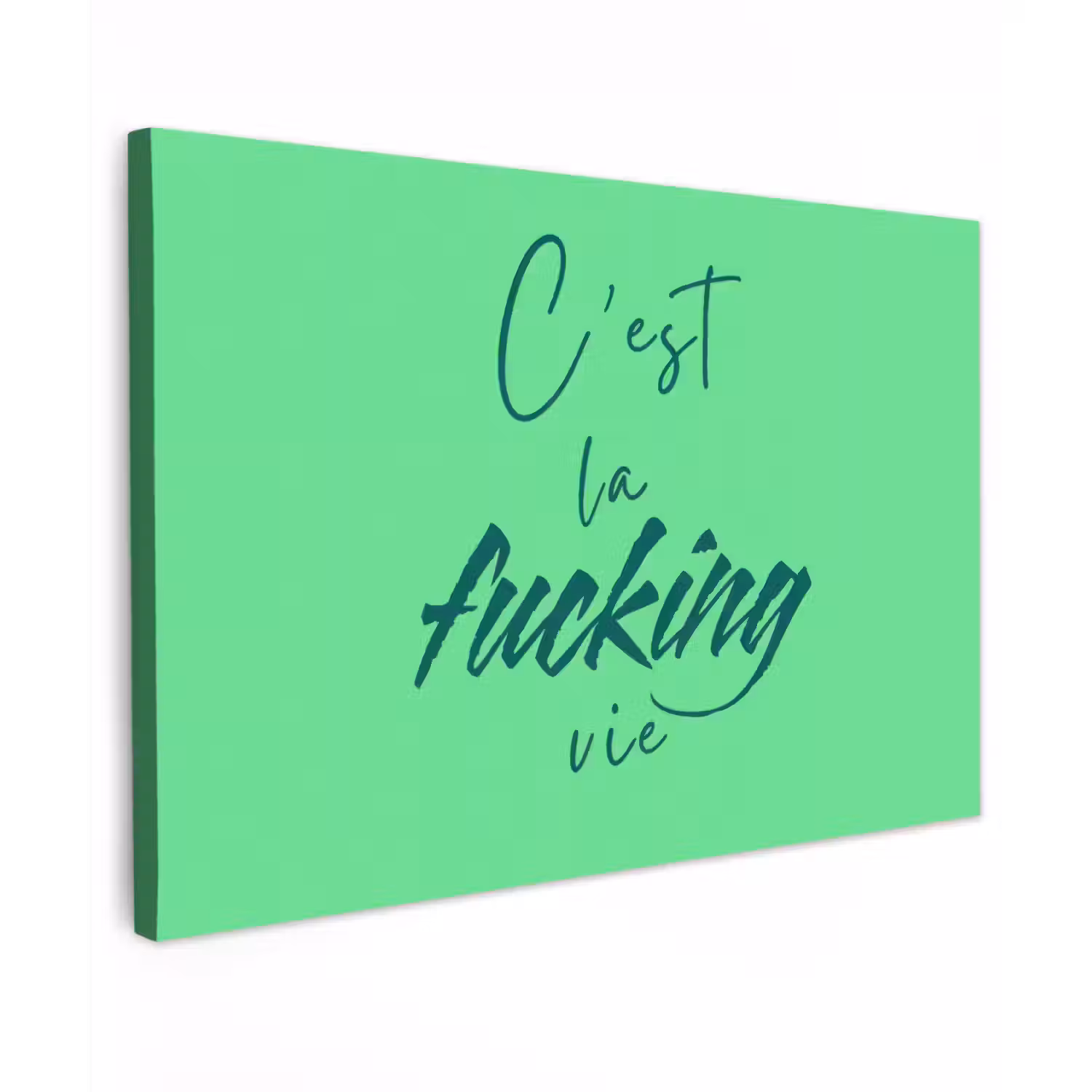 c'est la fucking vie - Groen - Penseelstijl canvas 2cm klein -z3d