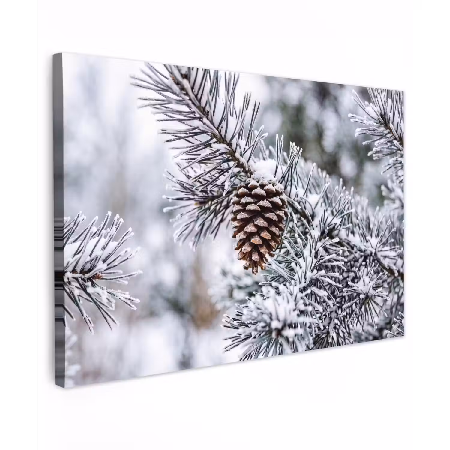 Dennenappel - Tak - Sneeuw - Winter - Sfeervol canvas 2cm klein -z3d