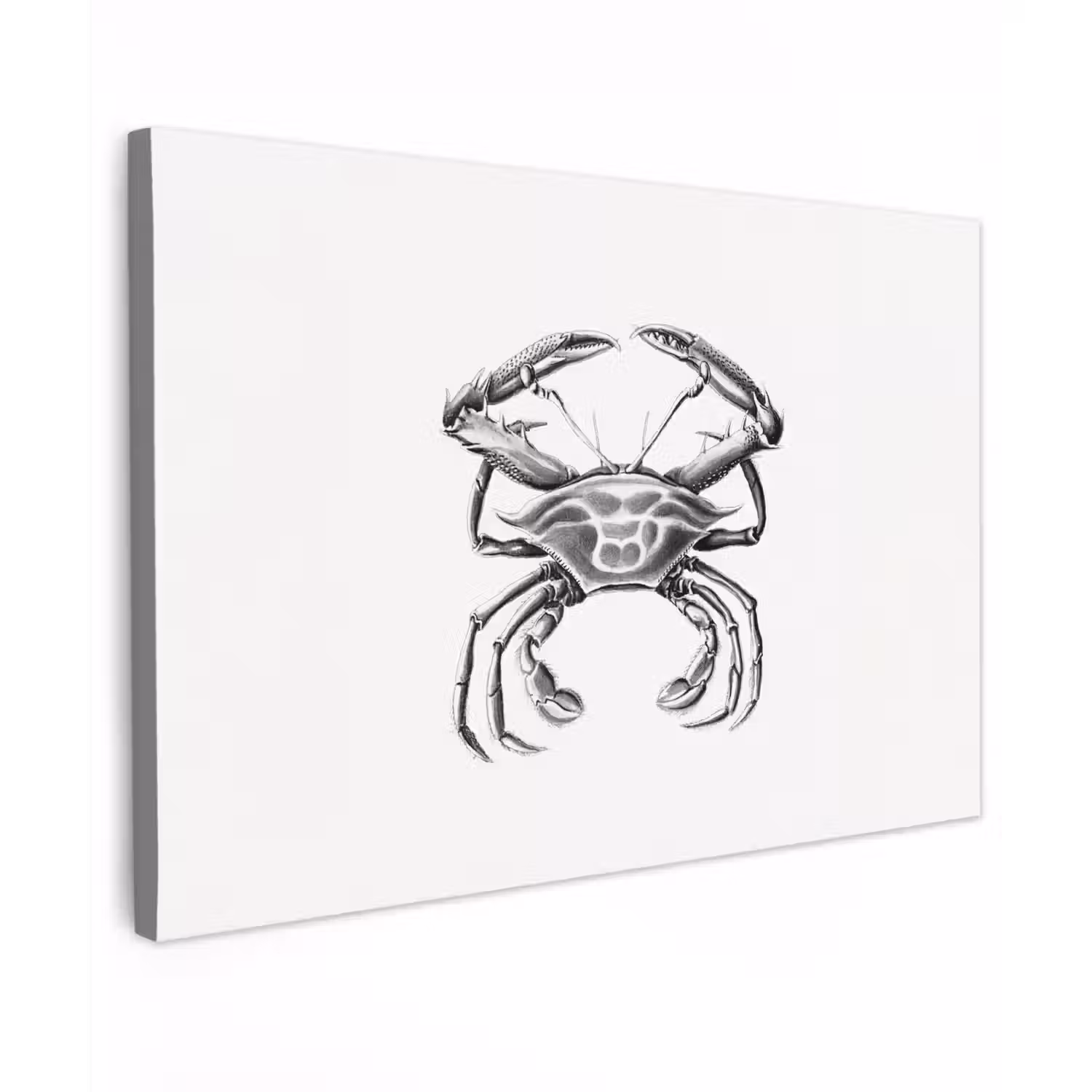Ernst Haeckel - Vintage - Kunst - Krab canvas 2cm klein -z3d
