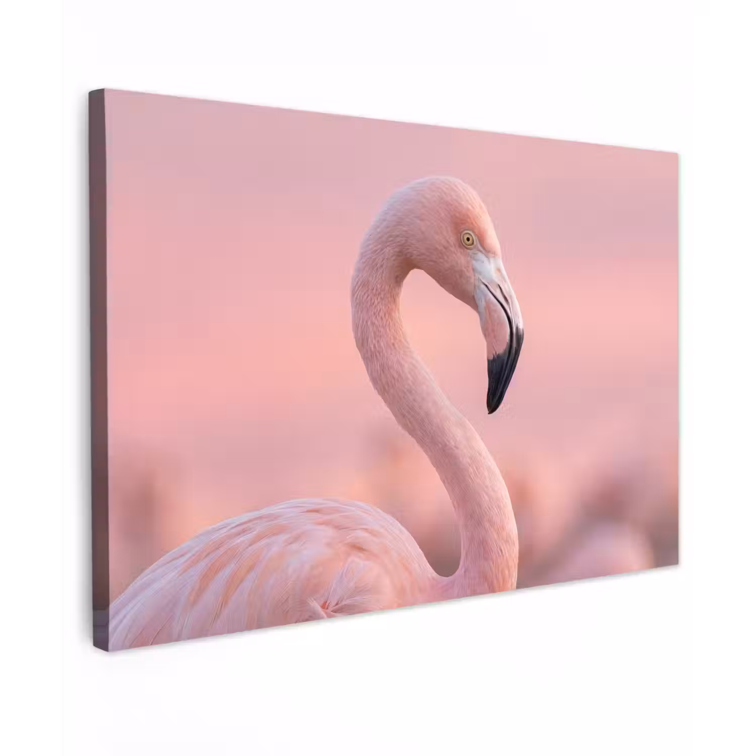 Flamingo - Portret - Roze canvas 2cm klein -z3d