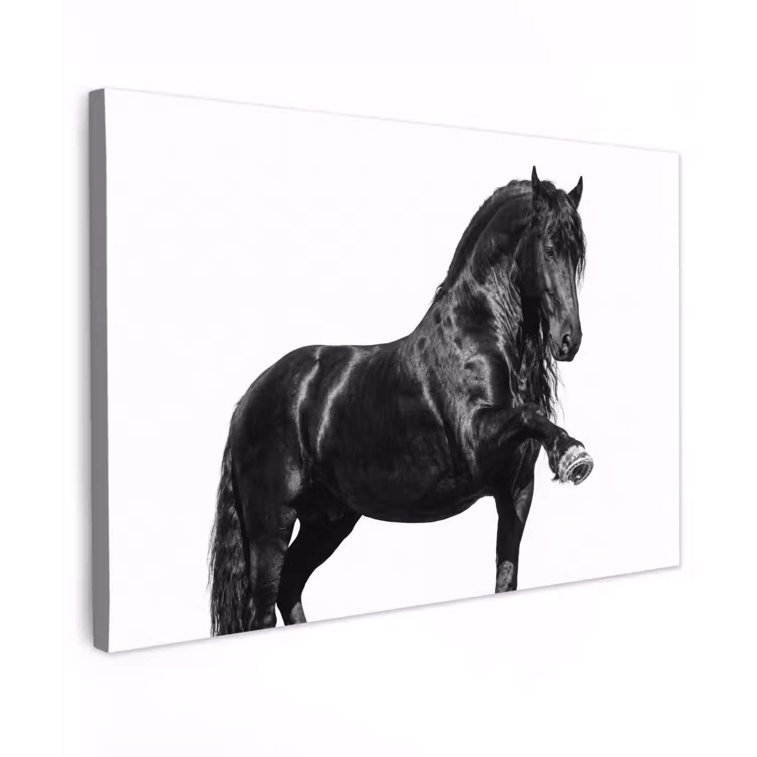 Fries - Hengst - Modern canvas 2cm klein -z3d