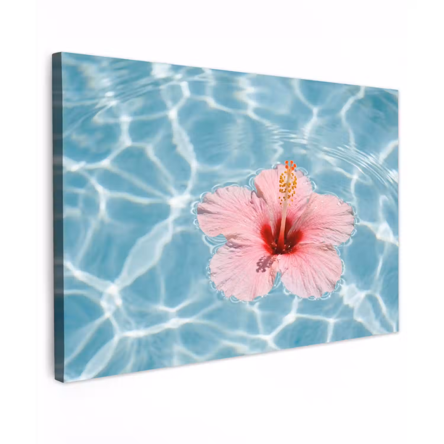 Hibiscus - Water - Roze canvas 2cm klein -z3d