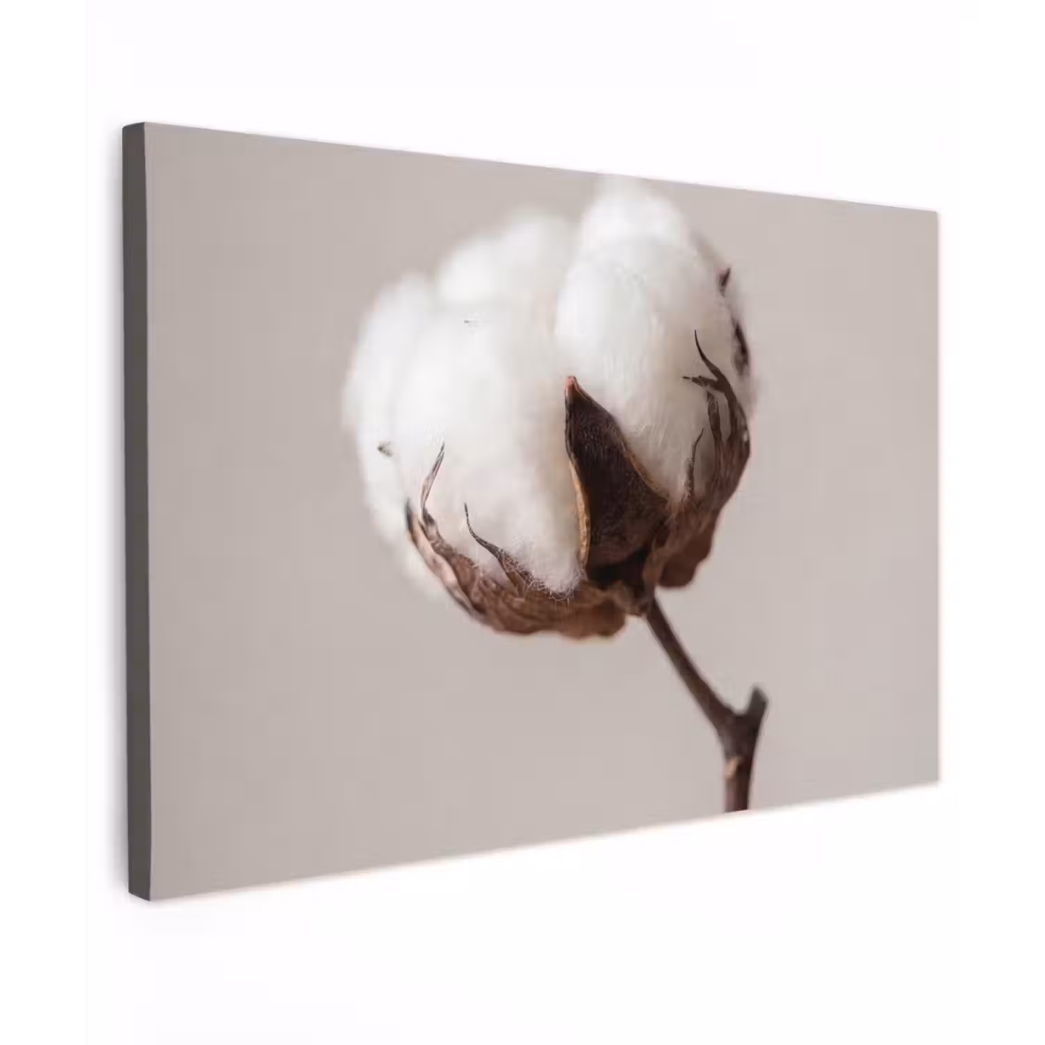 Katoenbol - Minimalistisch - Wit canvas 2cm klein -z3d