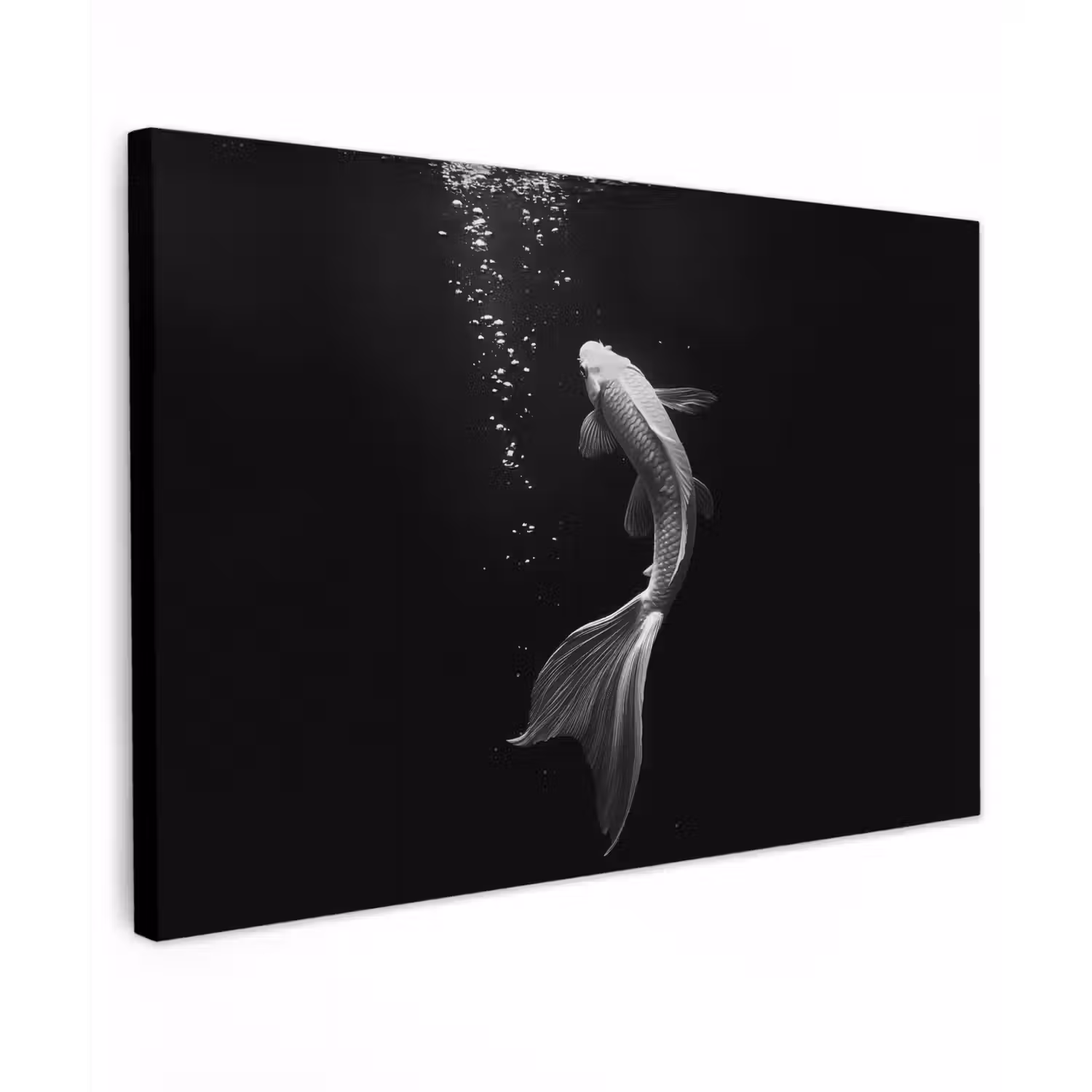 Koi - Vis - Wit - Zwart canvas 2cm klein -z3d