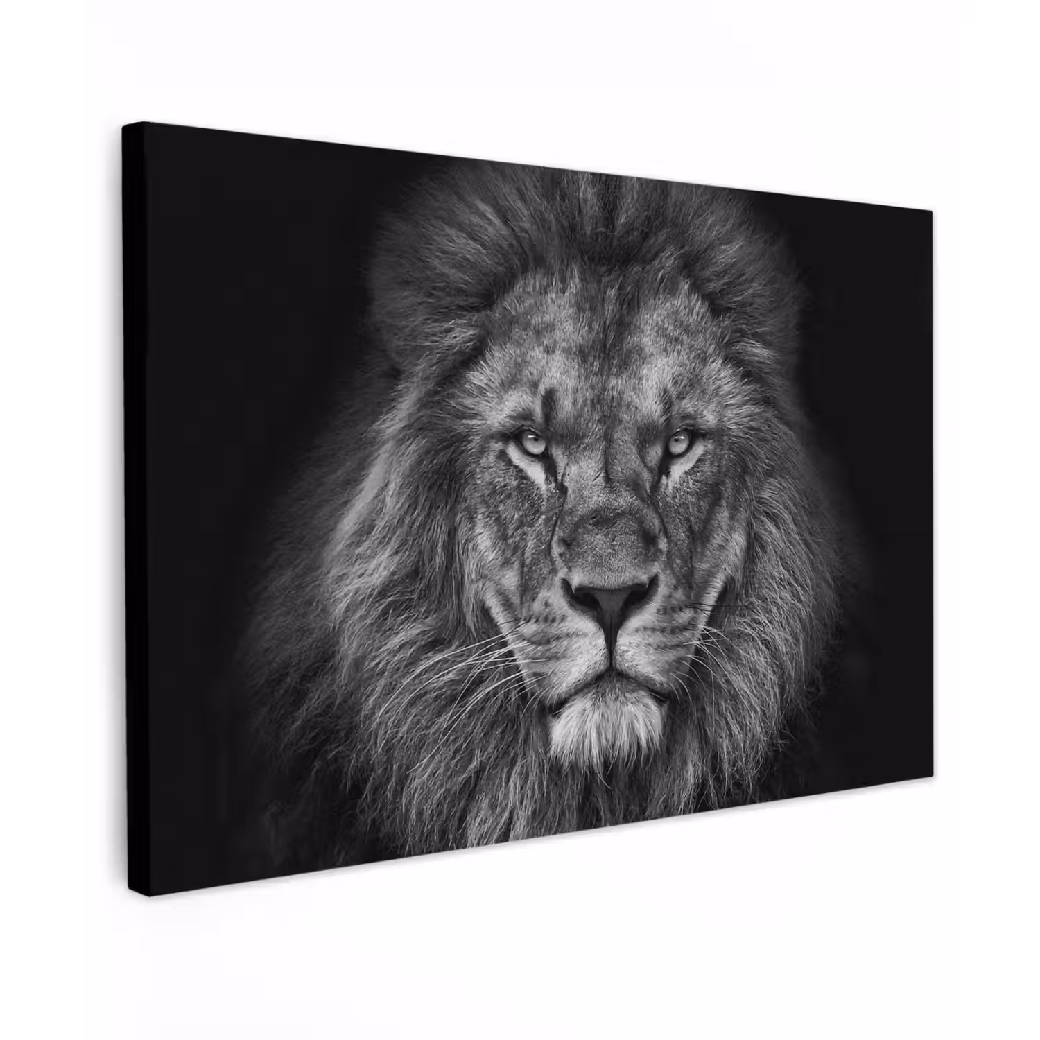Leeuw - Dieren - Zwart - Wit canvas 2cm klein -z3d