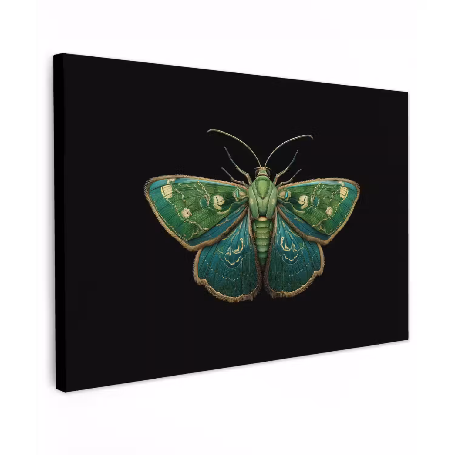 Mot - Levendig - Groen canvas 2cm klein -z3d