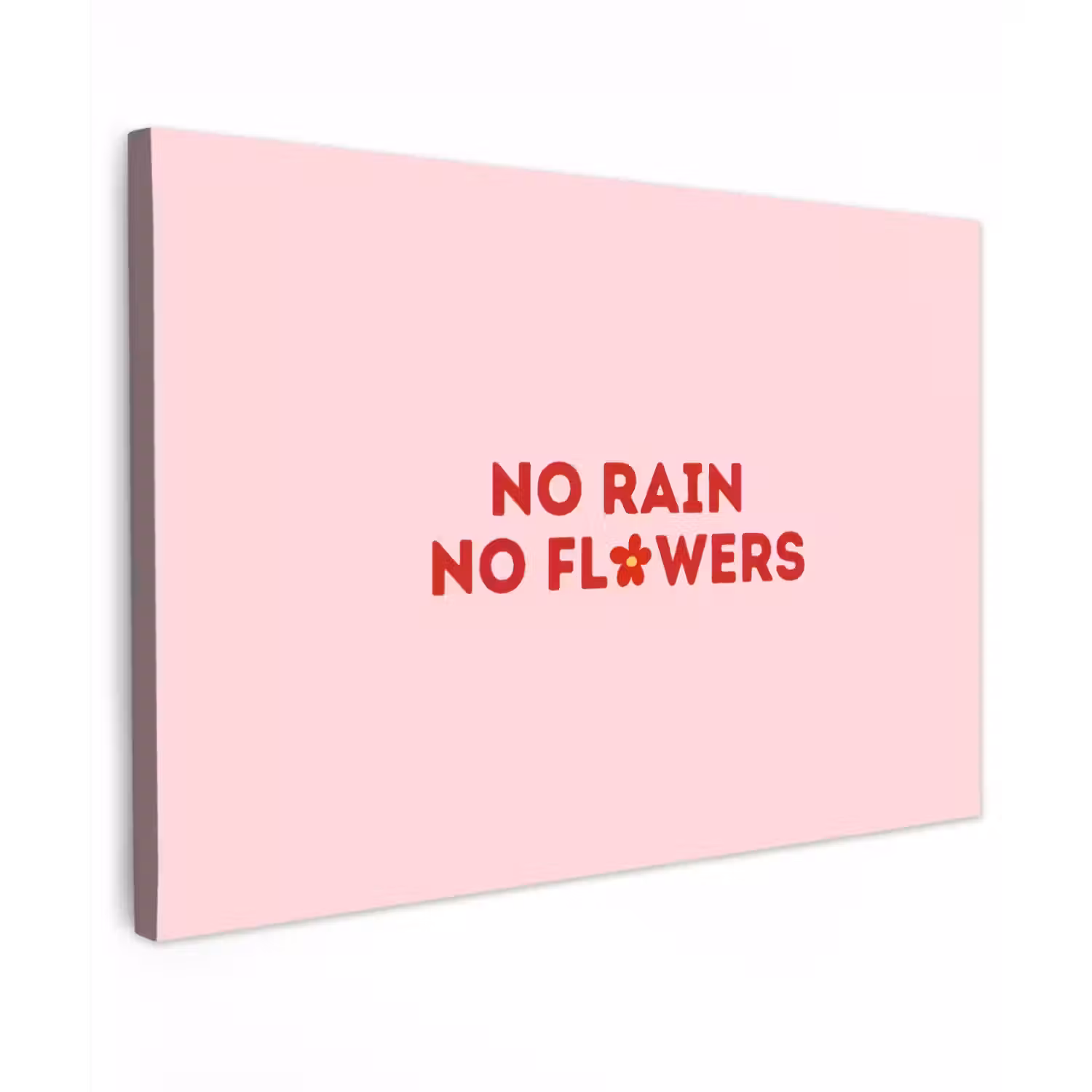 No rain no flowers - Minimalistisch - Roze - Bloem canvas 2cm klein -z3d