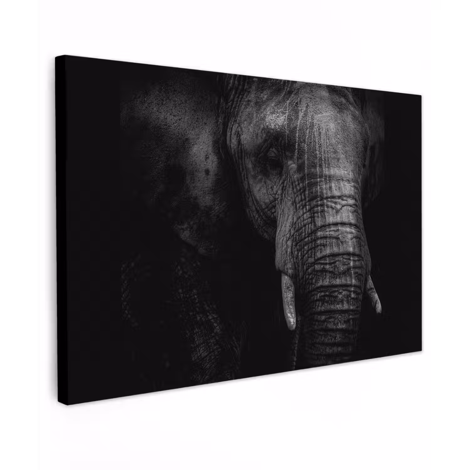 Olifant - Dier - Portret canvas 2cm klein -z3d