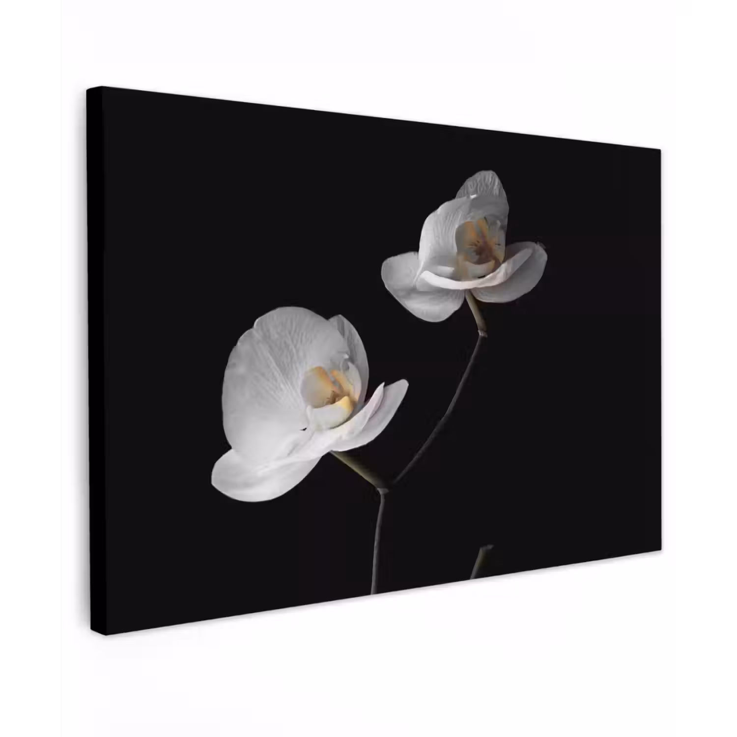 Orchidee - Bloemen - Zwart - Wit - Stilleven canvas 2cm klein -z3d