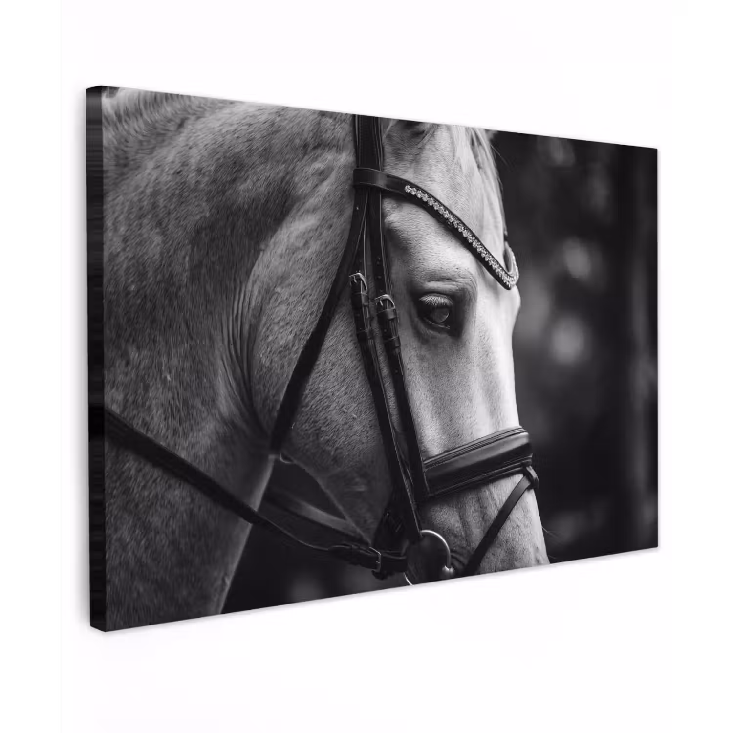 Paard - Schimmel - Portret canvas 2cm klein -z3d