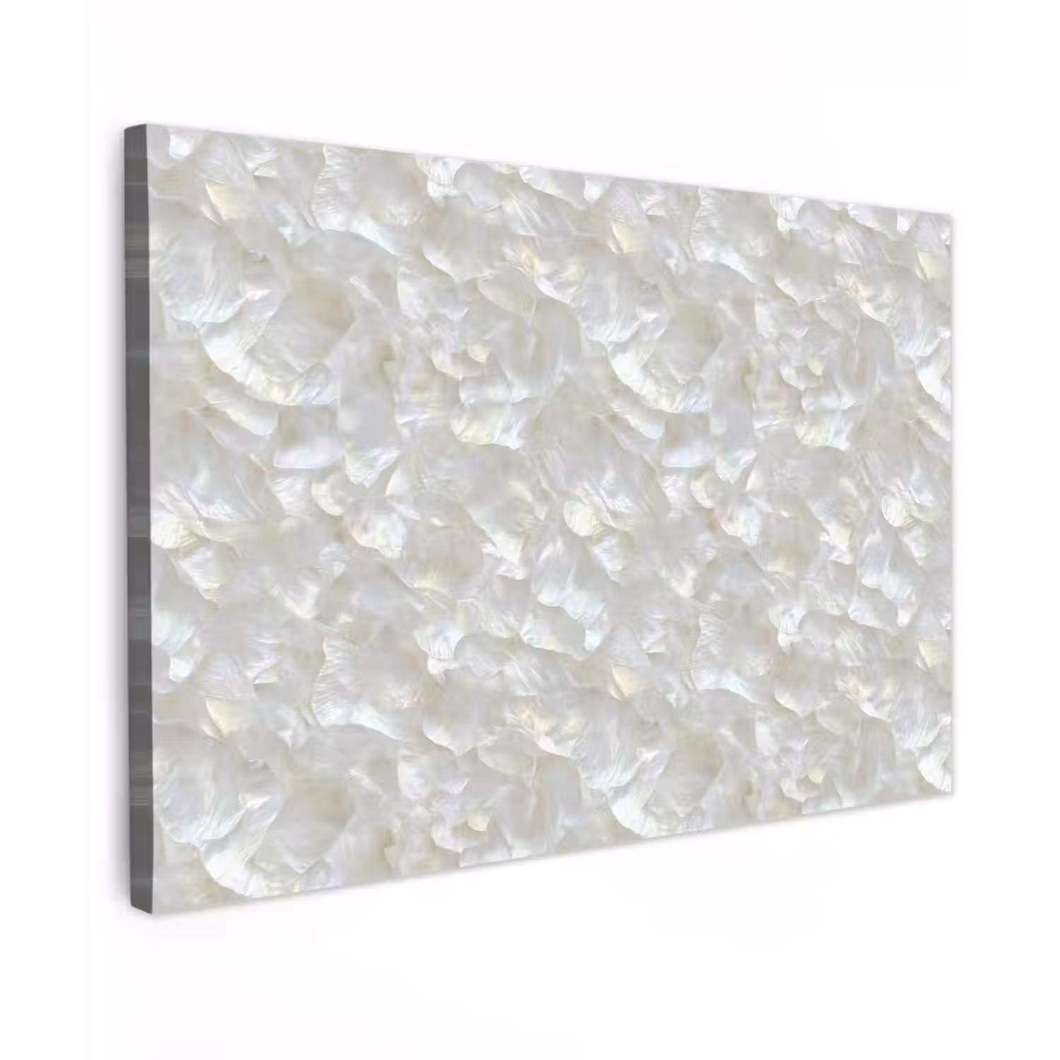 Parelmoerglans - Wit - Schelp canvas 2cm klein 34 -z3d
