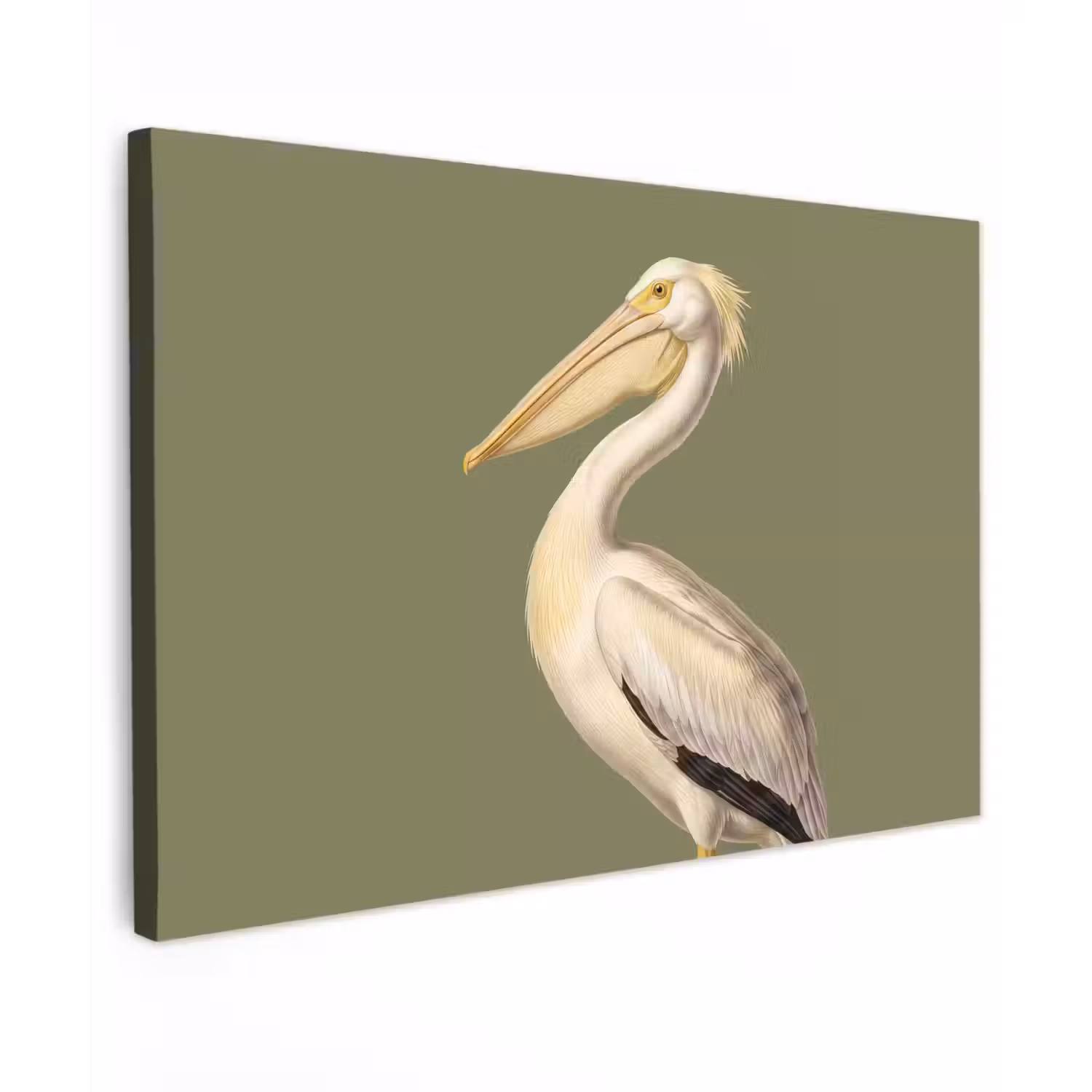 Pelikaan - Wit - Vogel - Klassiek - Natuur canvas 2cm klein -z3d