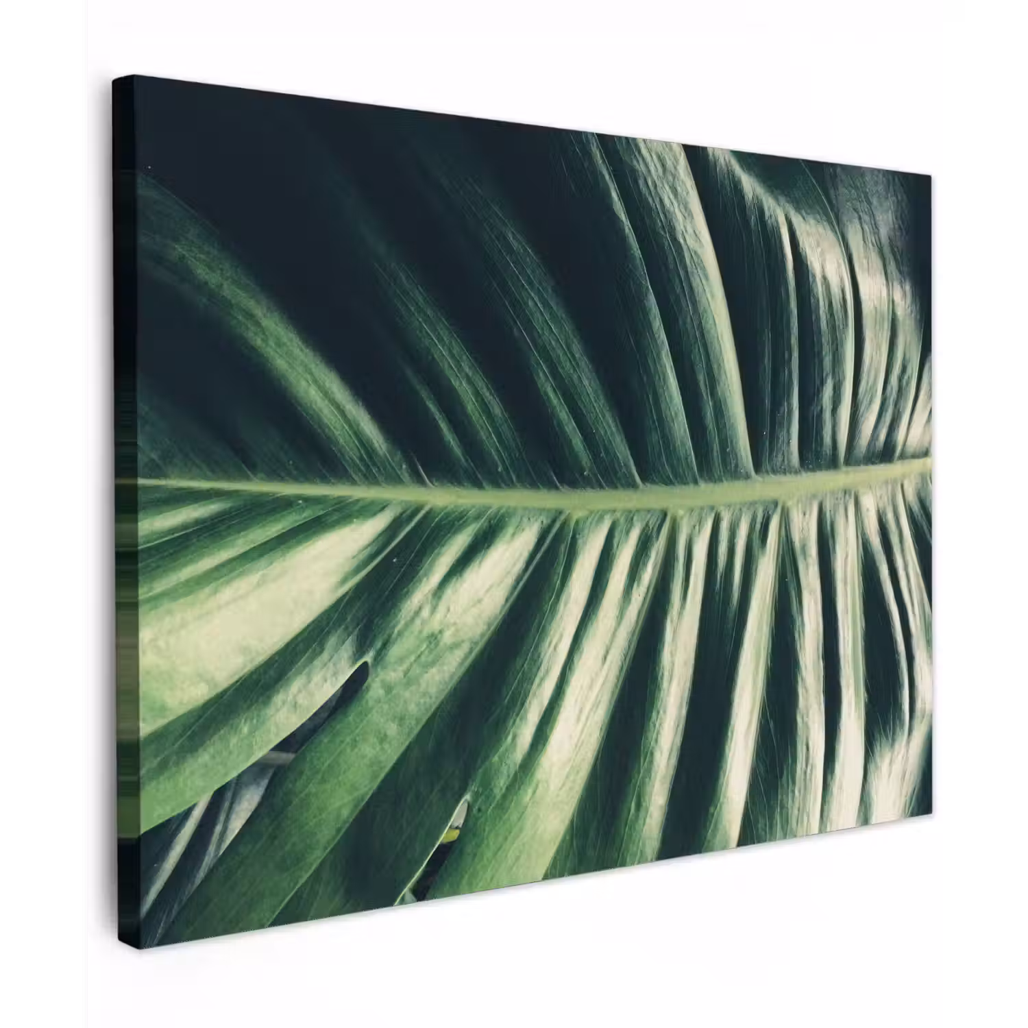 Tropisch - Inductie mat - Natuur - Inductie beschermer - Jungle canvas 2cm klein -z3d