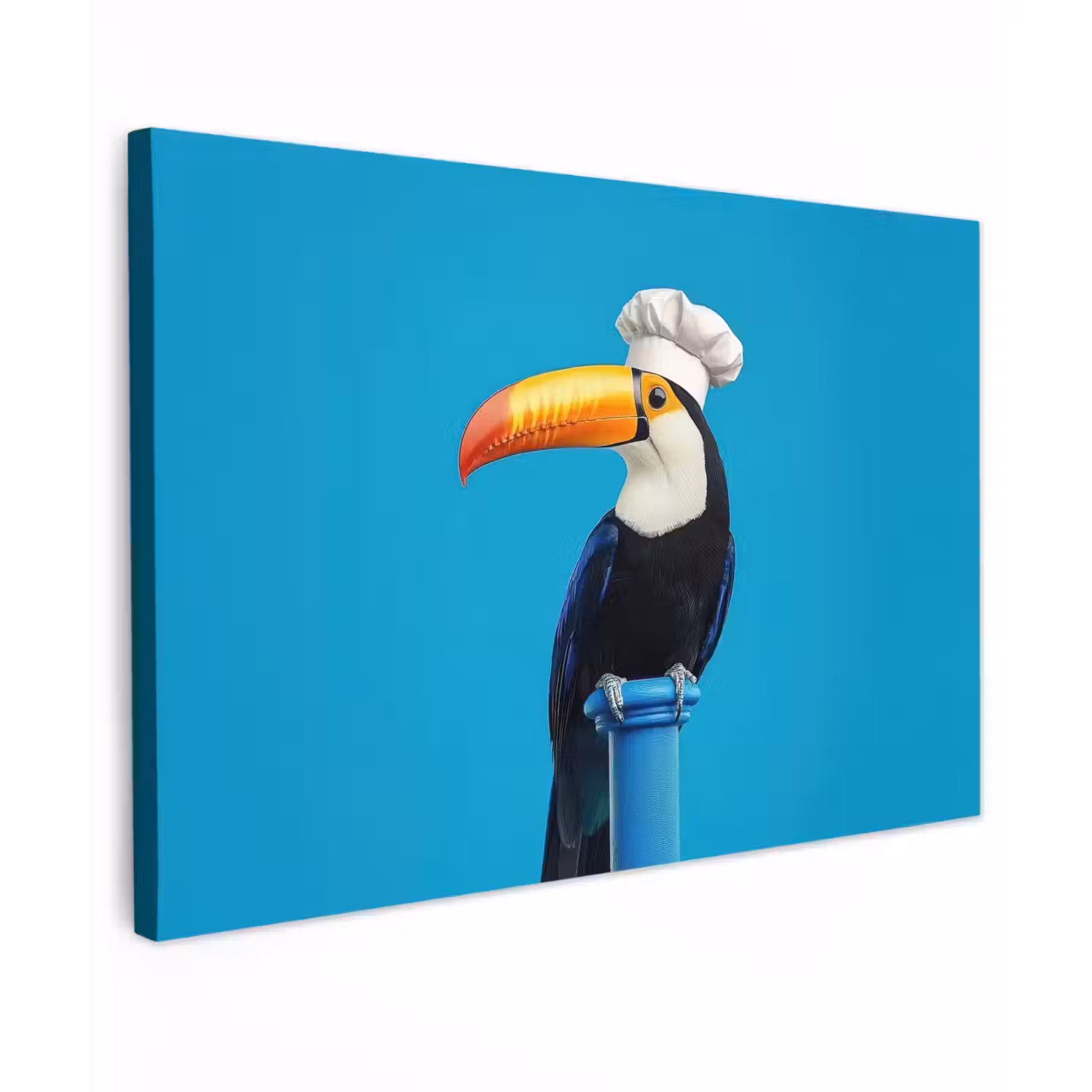 Tucan - Sokkel - Vogel - Koksmuts canvas 2cm klein -z3d