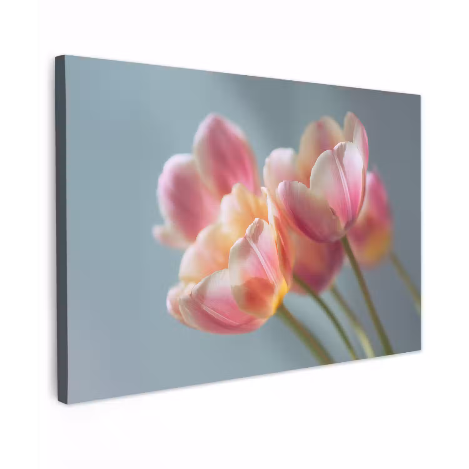 Tulpen - Roze - Stelen canvas 2cm klein -z3d