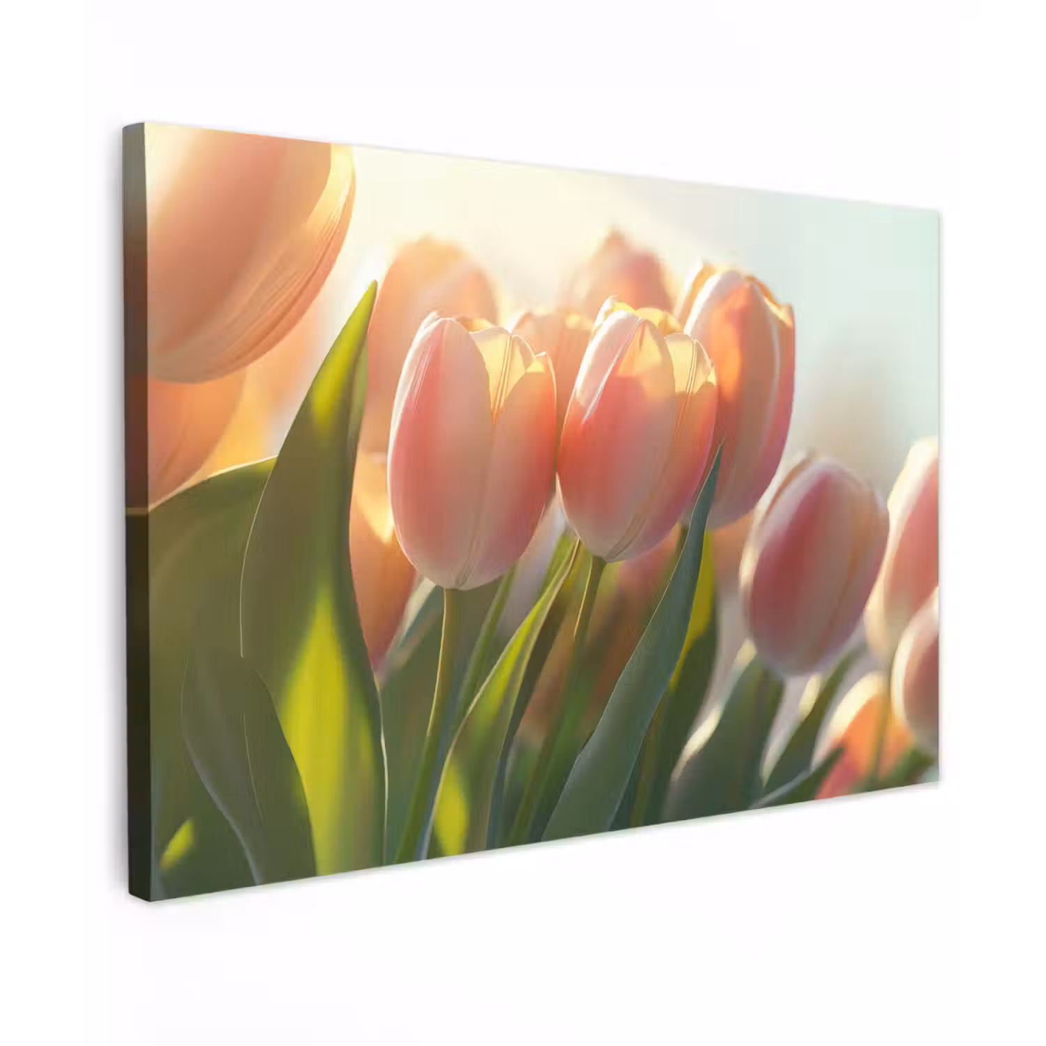 Tulpen - Roze - Zonnestralen canvas 2cm klein -z3d