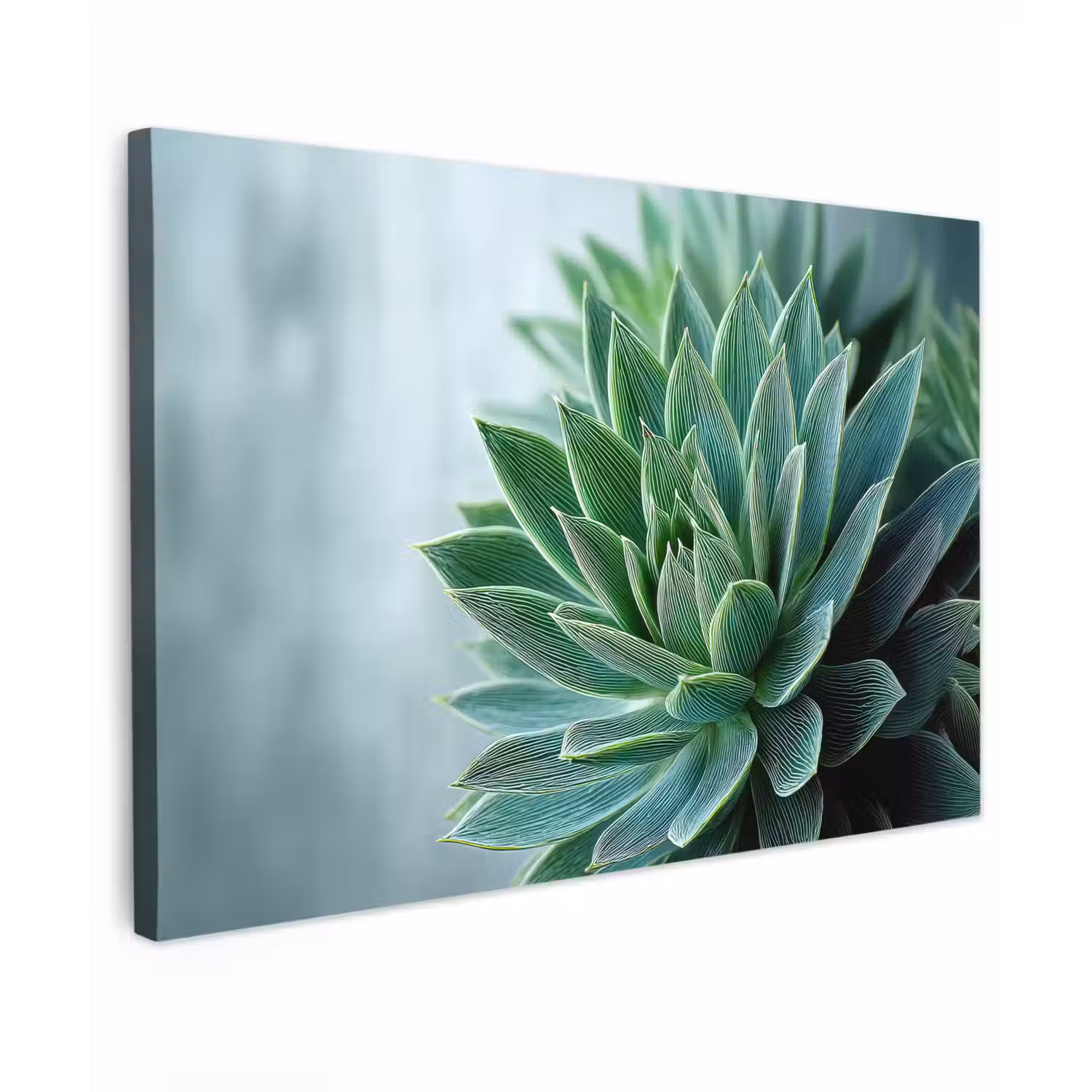 Vetplant - Bladeren - Groen - Wazig canvas 2cm klein -z3d