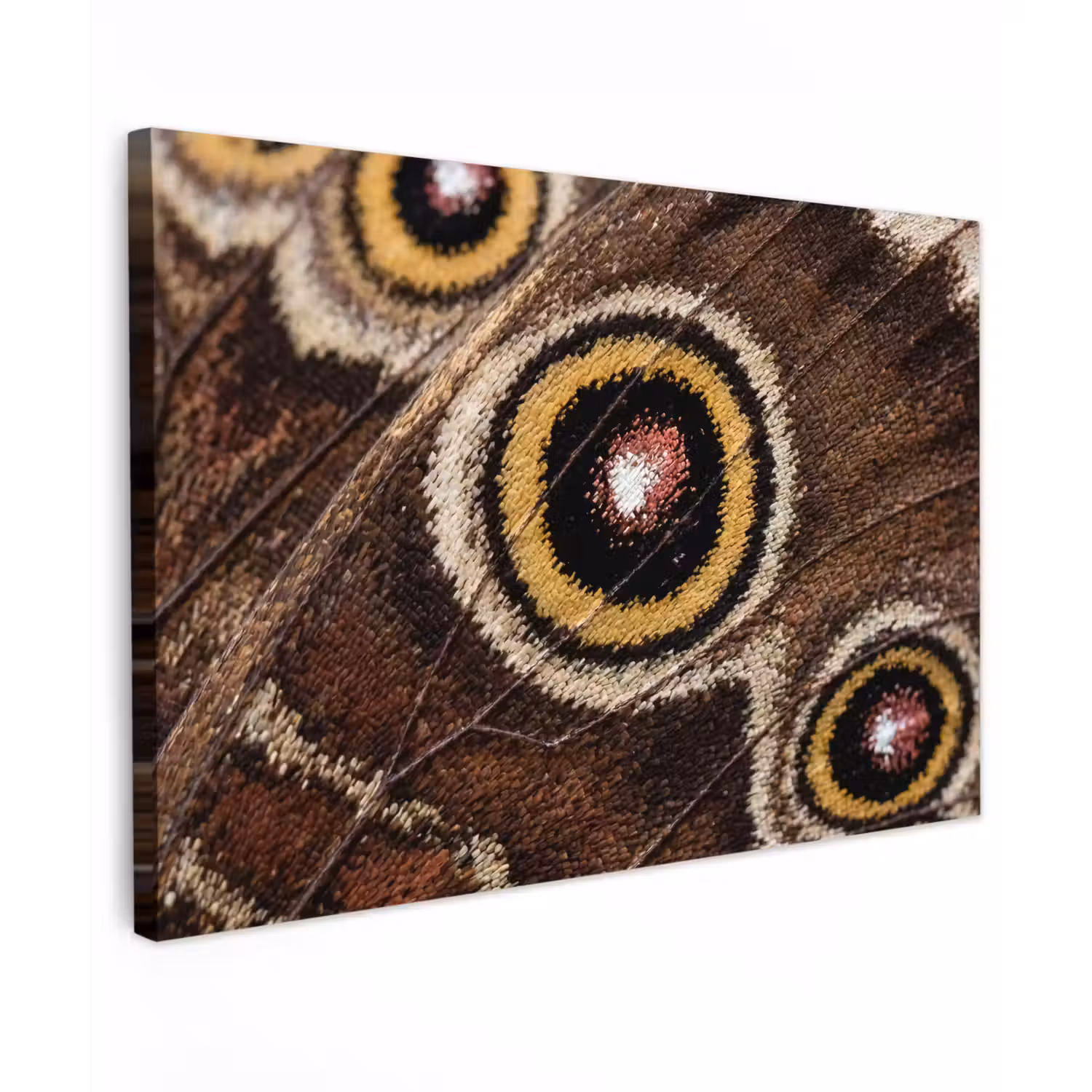 Vlinder - Vleugel - Abstract canvas 2cm klein -z3d