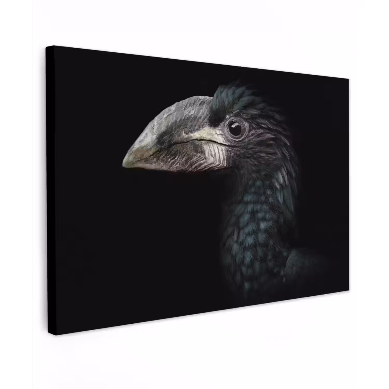 Vogel - Portret - Neushoornvogel - Zwart - Dieren canvas 2cm klein -z3d