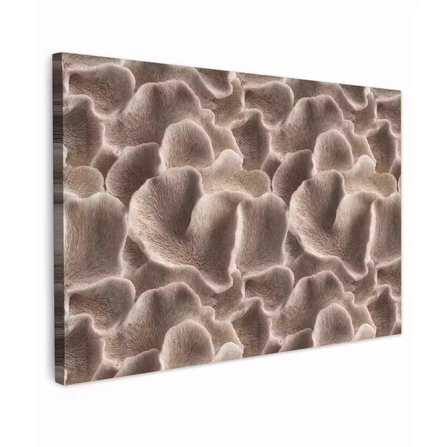 Waaiervorm - Beige - Vezel textuur canvas 2cm klein 34 -z3d