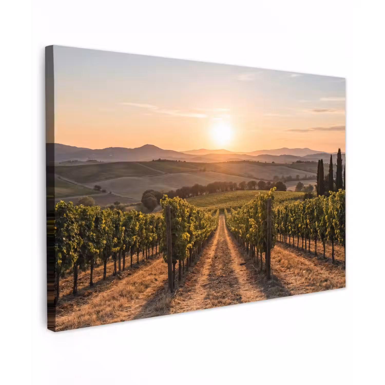 Wijngaard - Zonsondergang - Landschap canvas 2cm klein -z3d