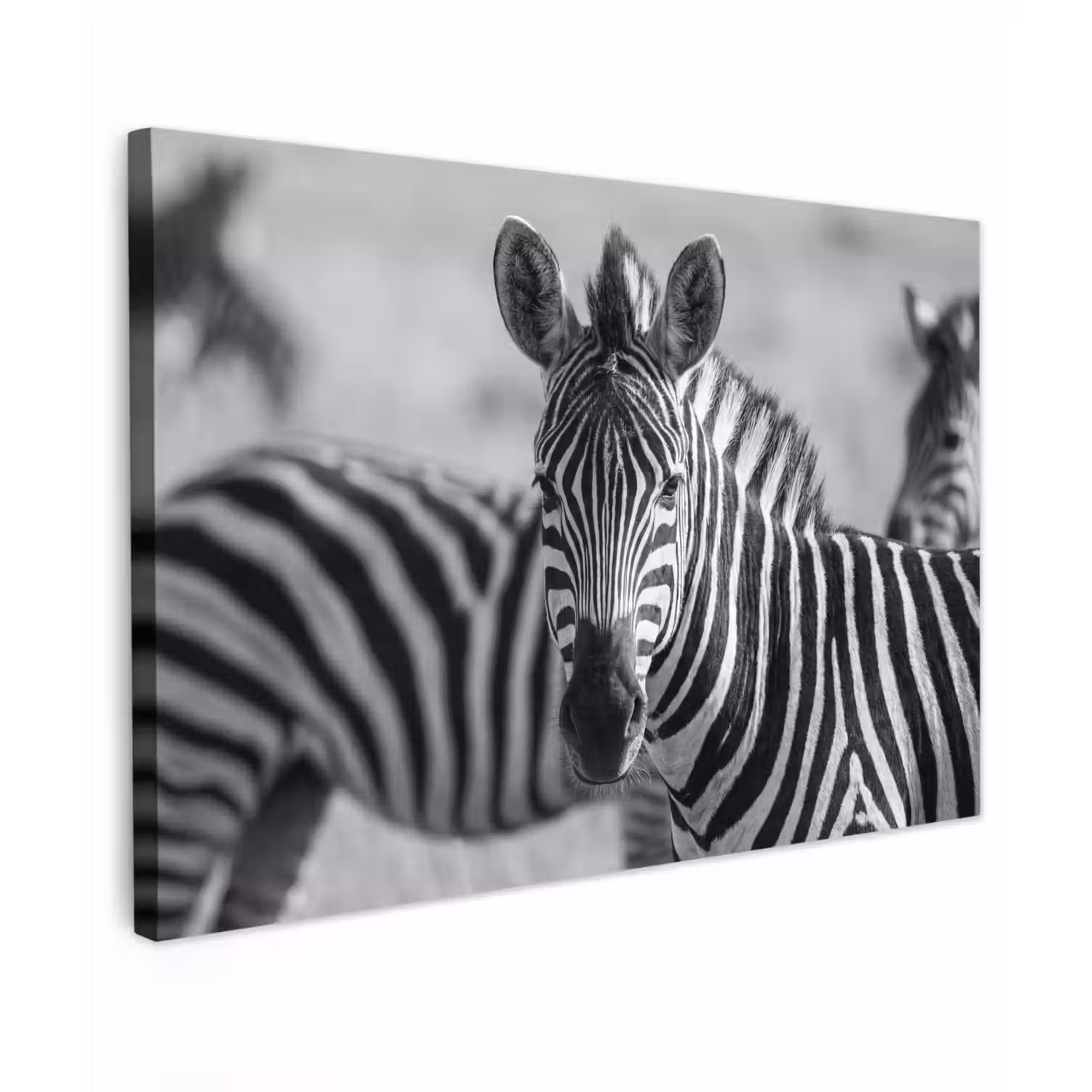 Zebra's - Zwart - Wit canvas 2cm klein -z3d