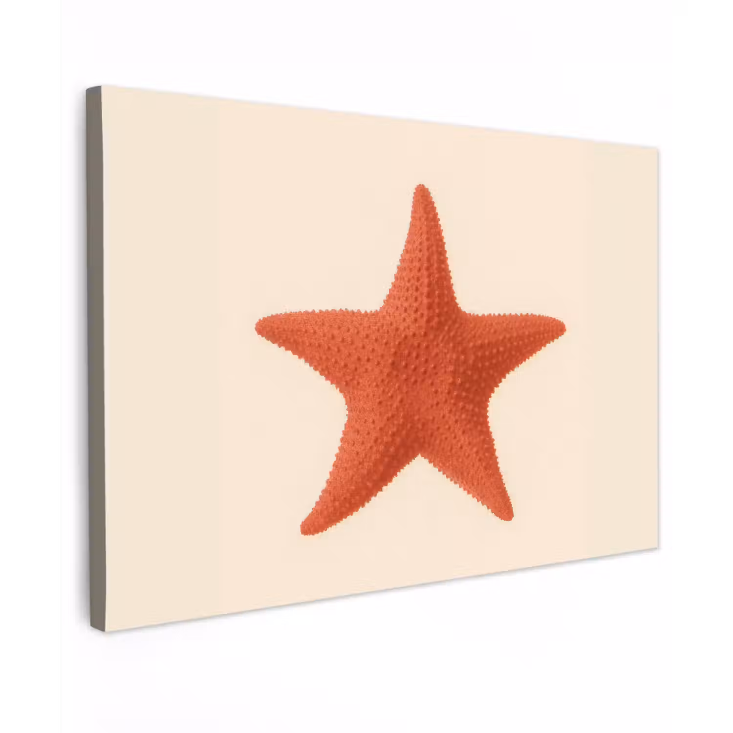 Zeester - Bobbels - Rood canvas 2cm klein -z3d
